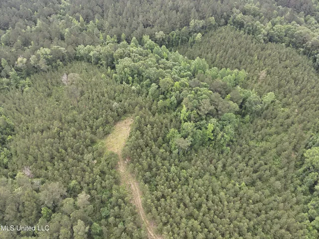 $283,600 | Old Pickens Rd Road, Sallis, MS 39160