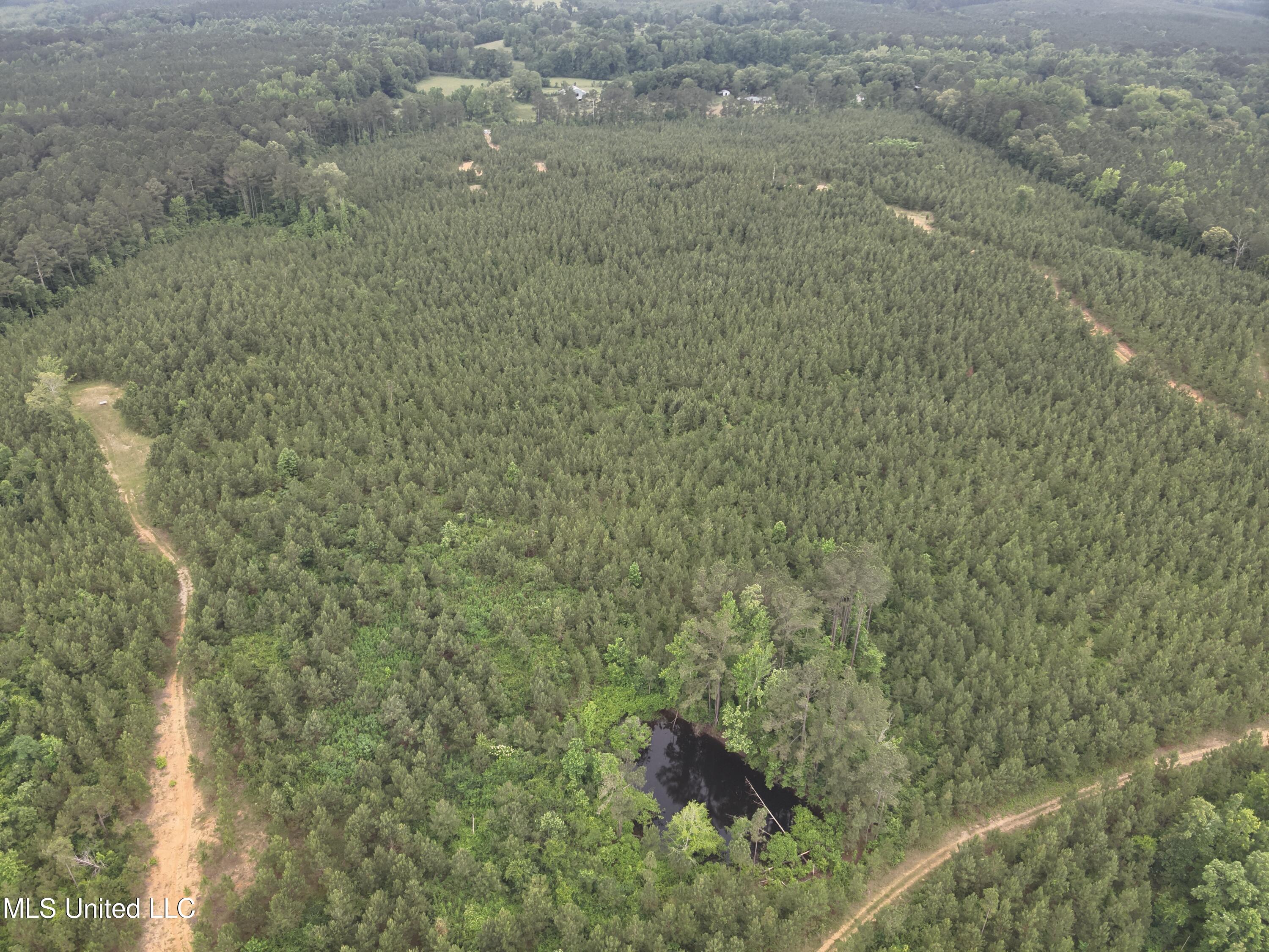 Old Pickens Rd Road Sallis, MS 39160 - Photo 10 of 28 DJI_20230524154556_0009_V