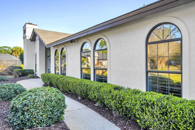a view of living room with furniture and potted plant