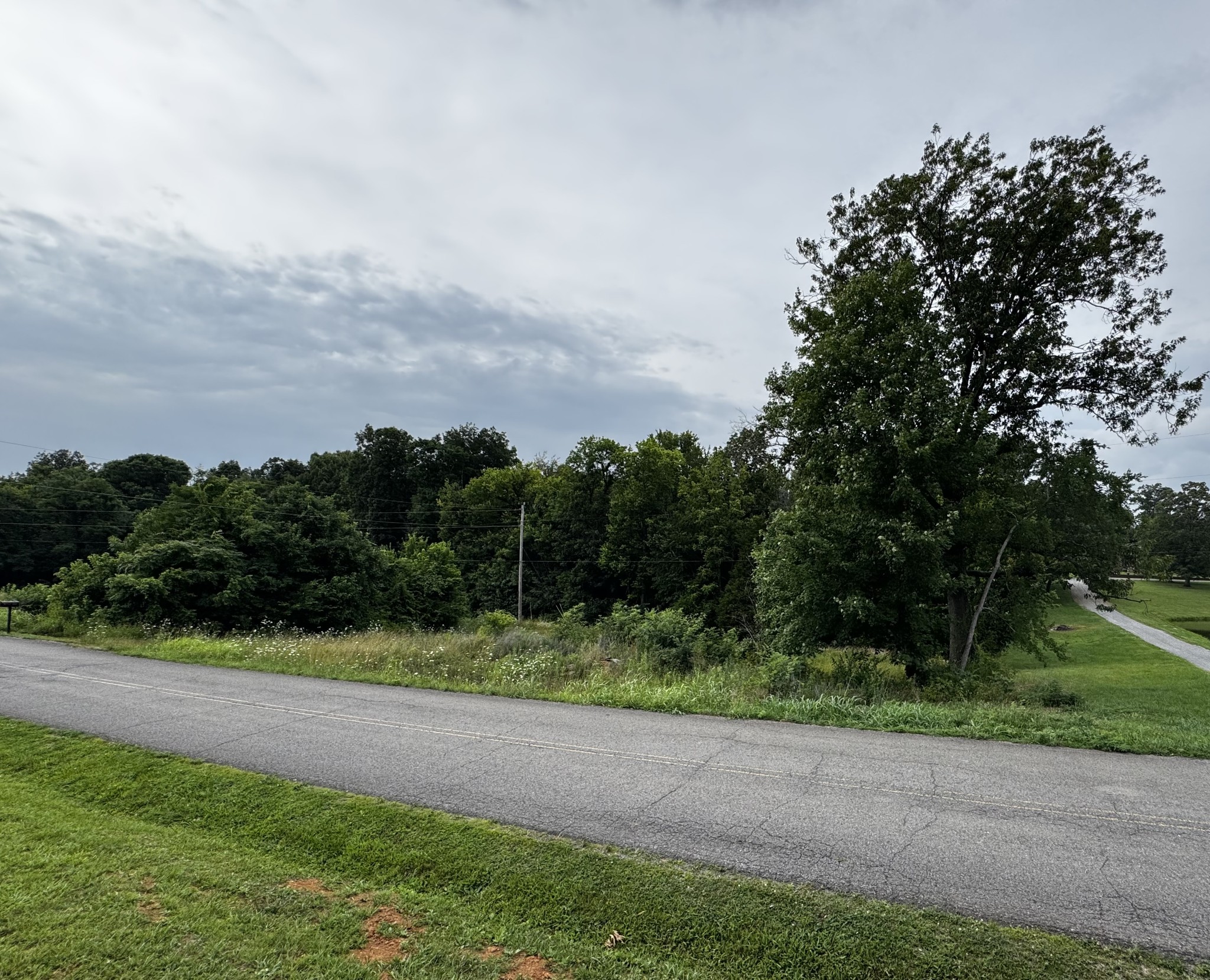 0 Campbell Road Cross Plains, TN 37049 - Photo 3 of 8