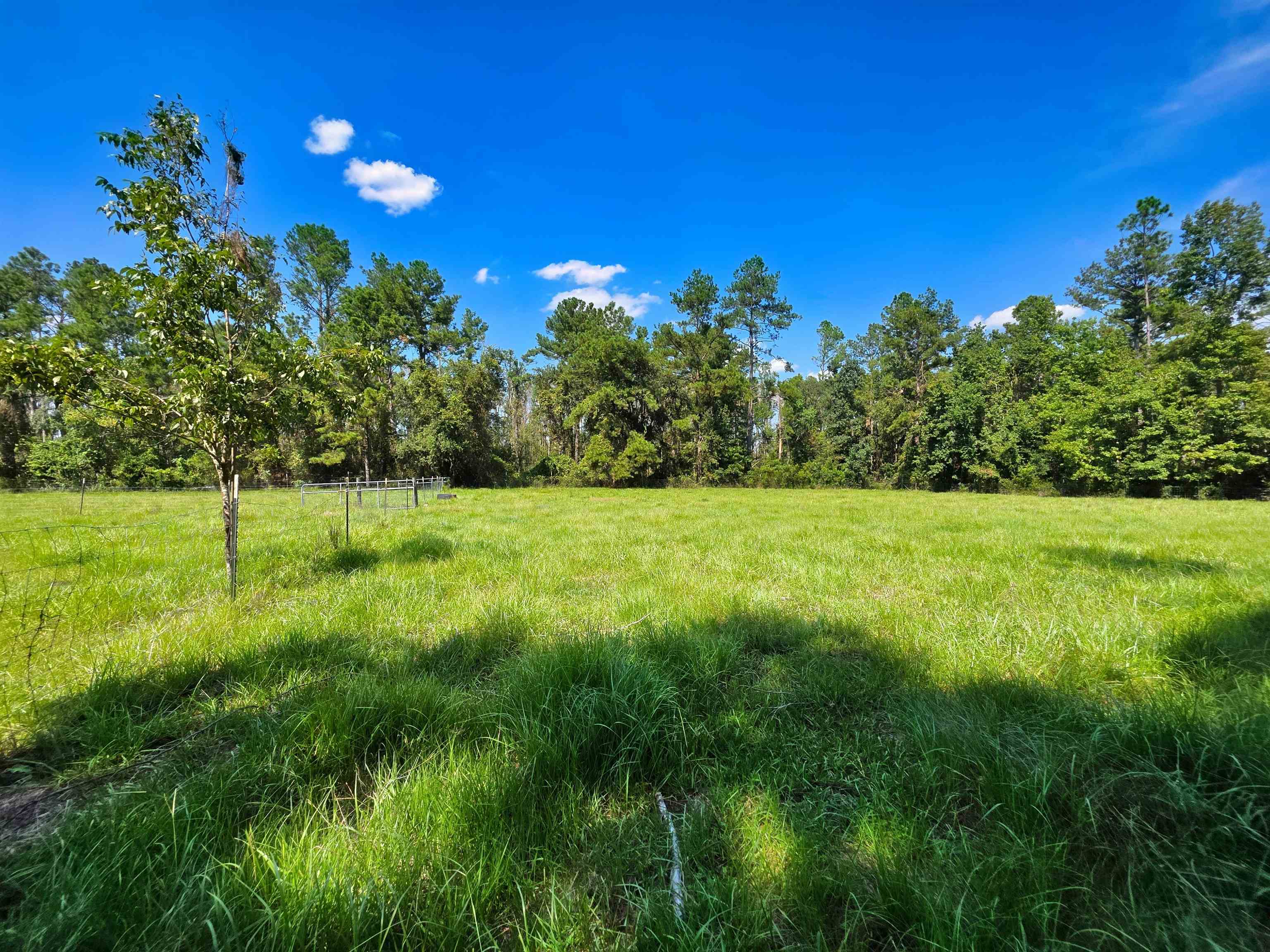 183 Jim Clark Road Madison, FL 32340 - Photo 11 of 31