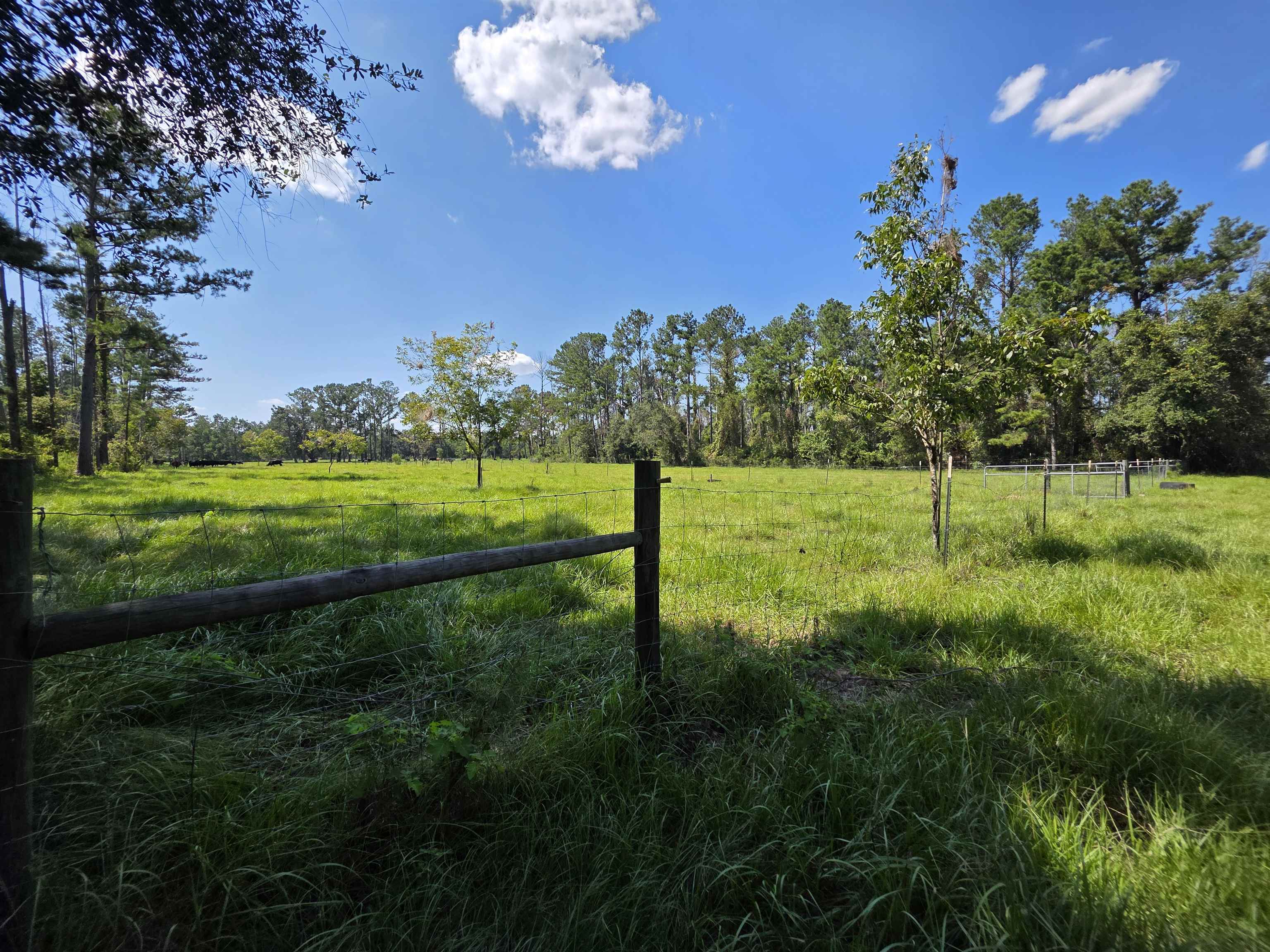 183 Jim Clark Road Madison, FL 32340 - Photo 12 of 31