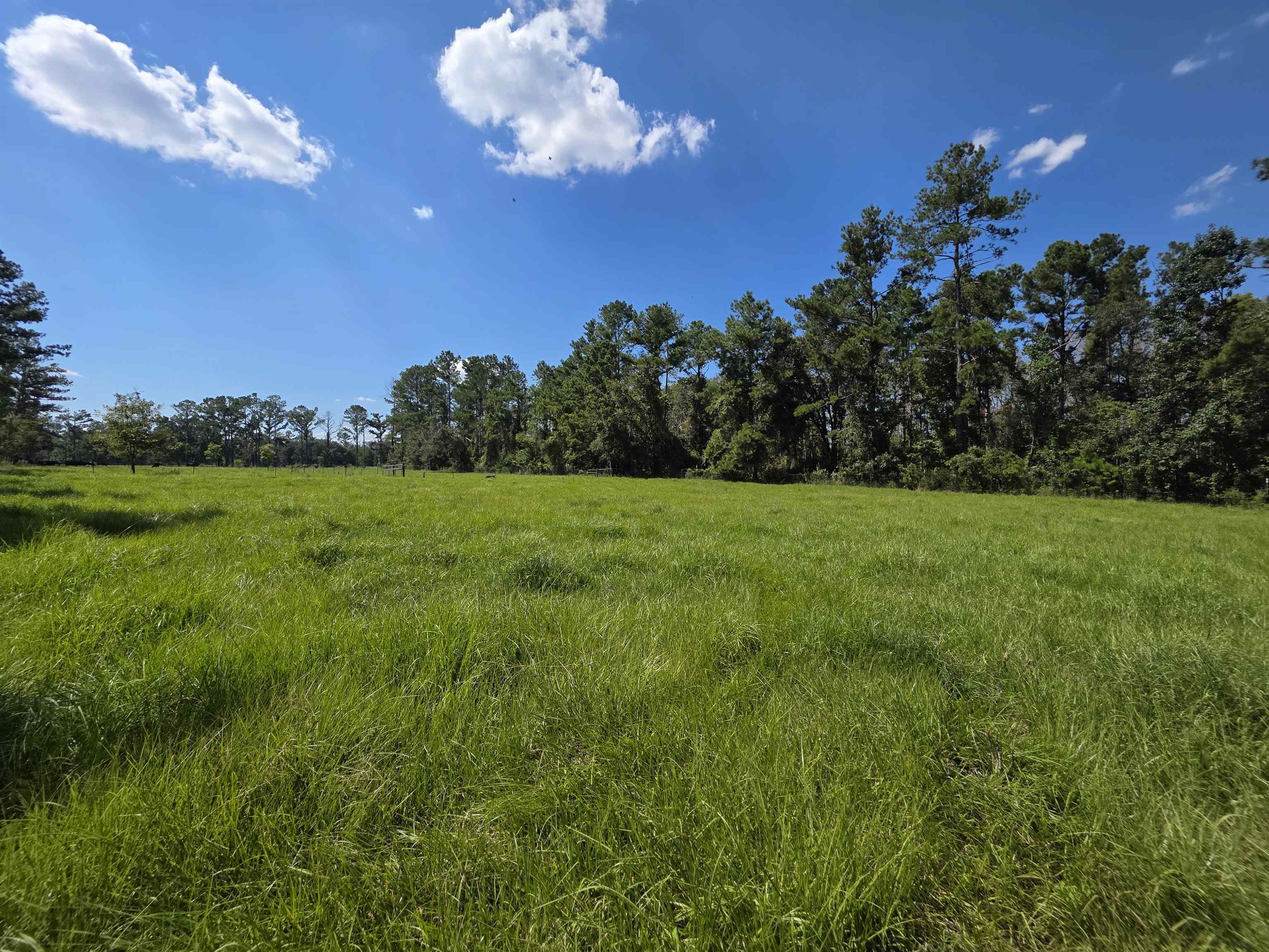 183 Jim Clark Road Madison, FL 32340 - Photo 13 of 31