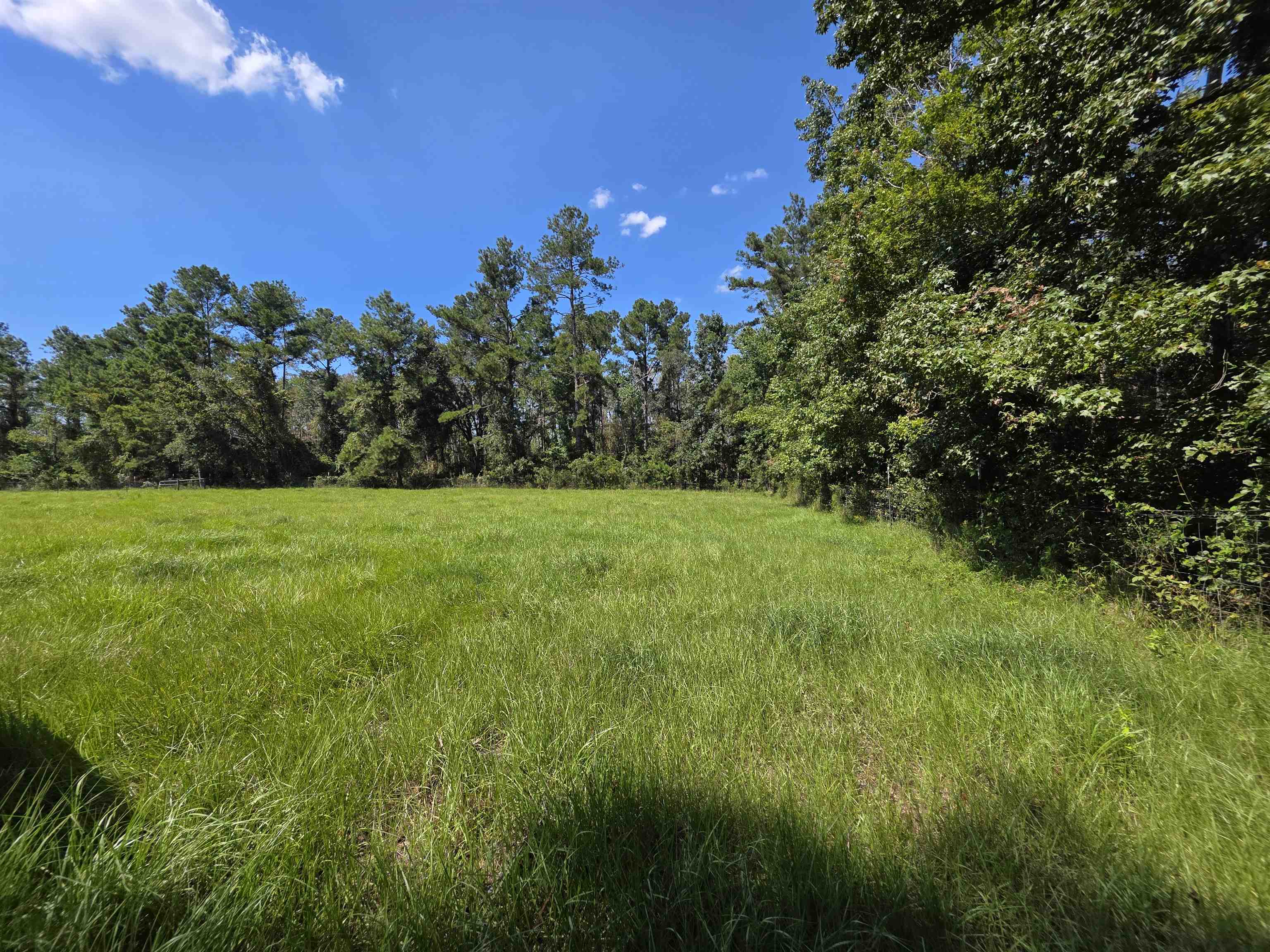 183 Jim Clark Road Madison, FL 32340 - Photo 14 of 31