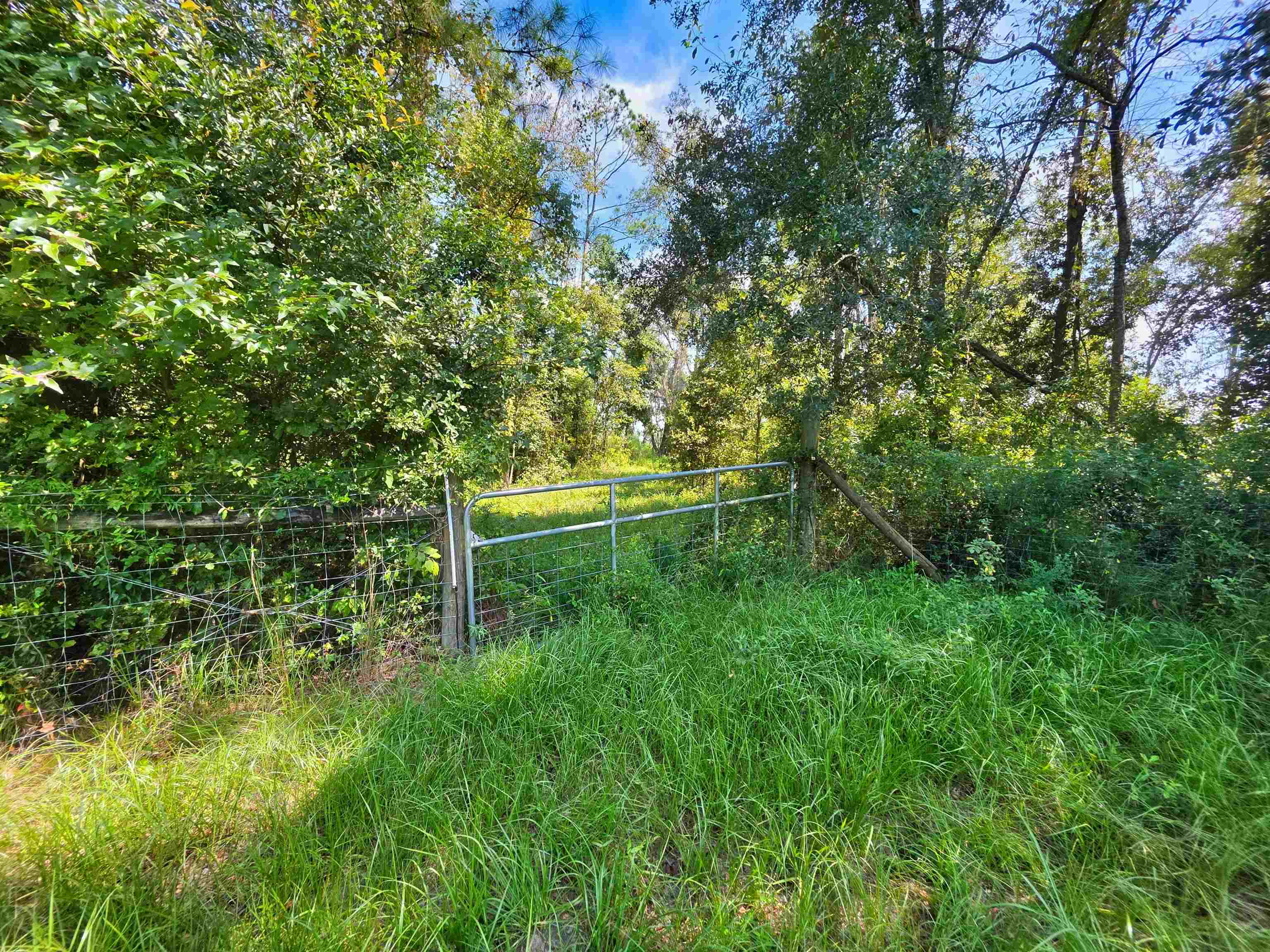 183 Jim Clark Road Madison, FL 32340 - Photo 15 of 31