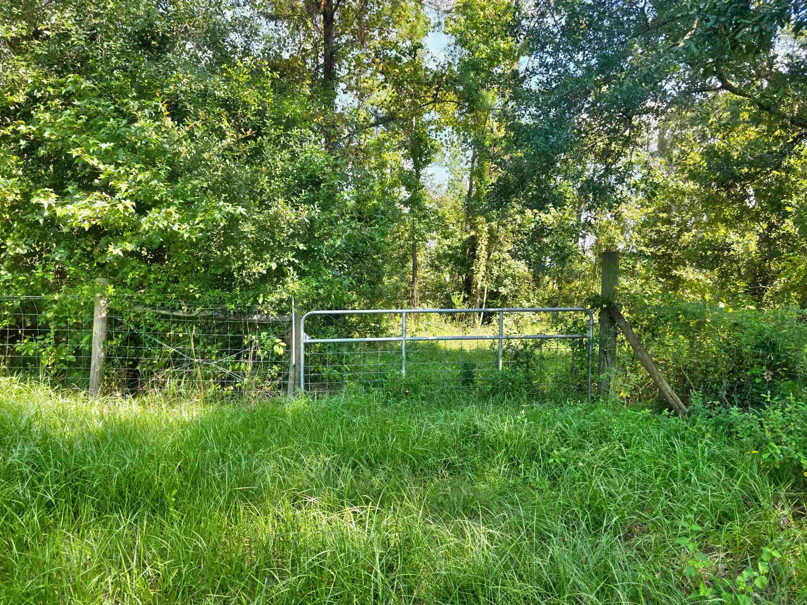 183 Jim Clark Road Madison, FL 32340 - Photo 16 of 31