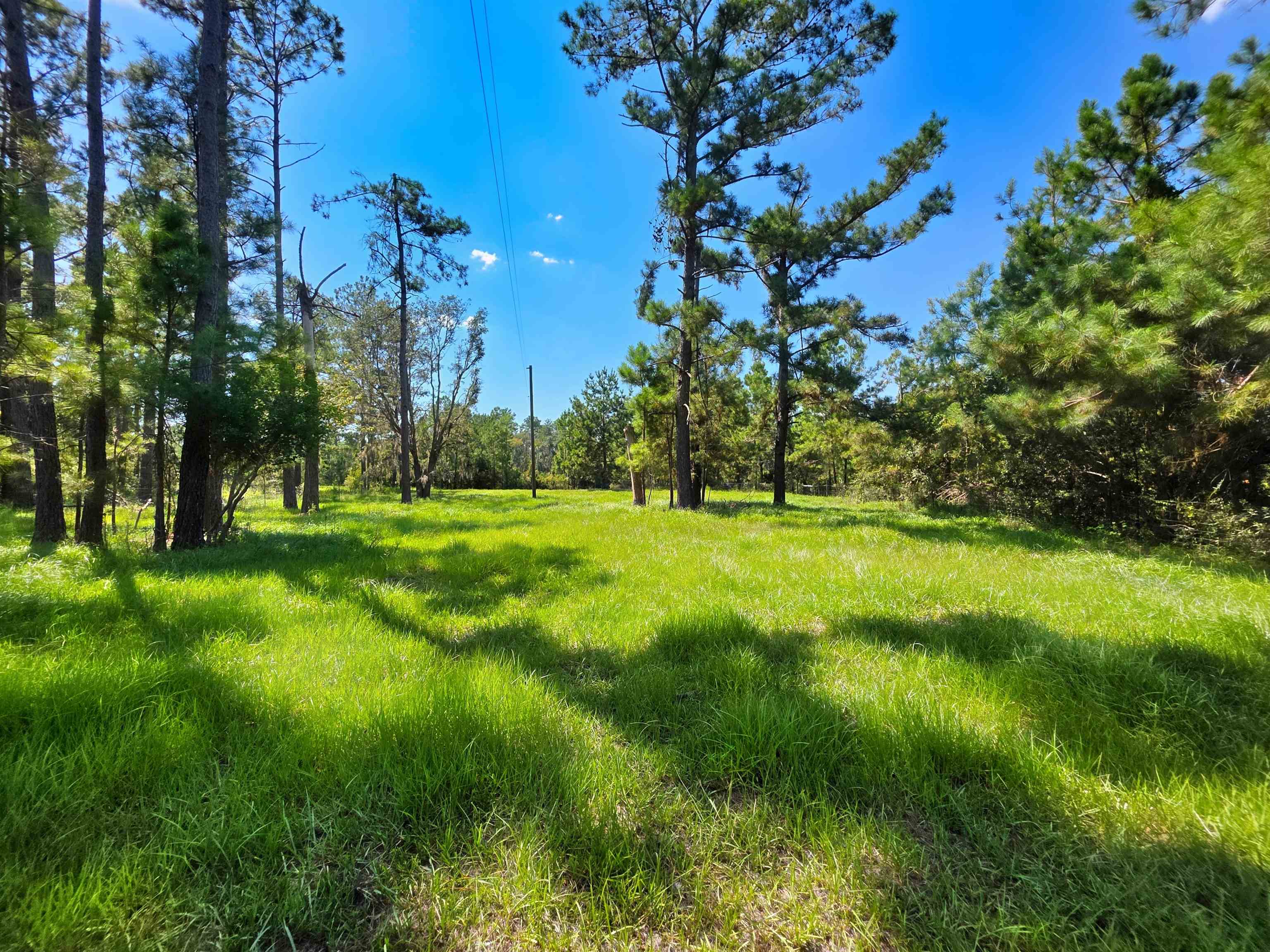 183 Jim Clark Road Madison, FL 32340 - Photo 23 of 31