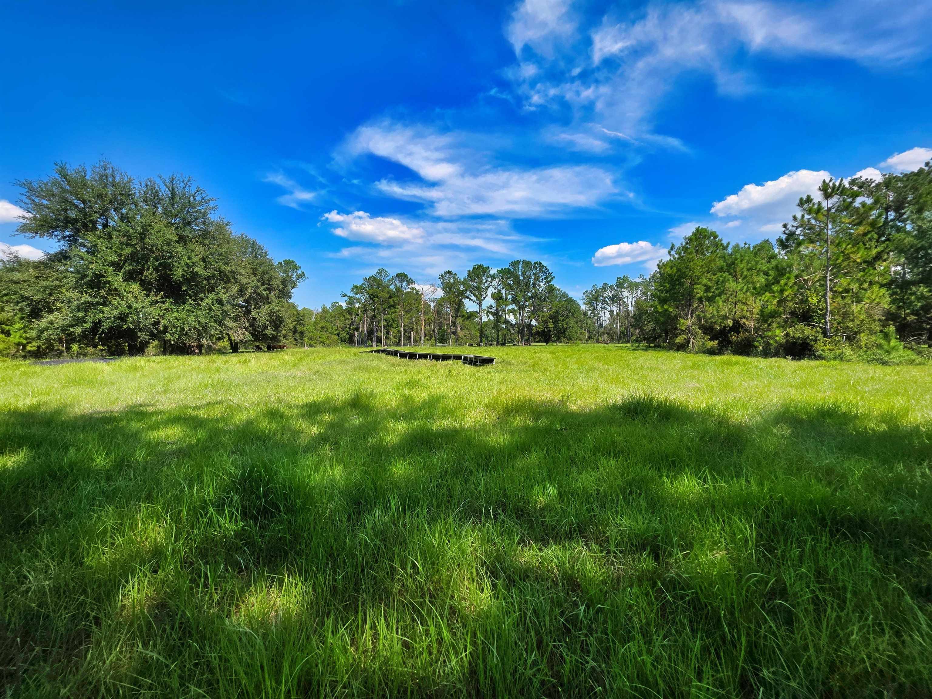 183 Jim Clark Road Madison, FL 32340 - Photo 24 of 31