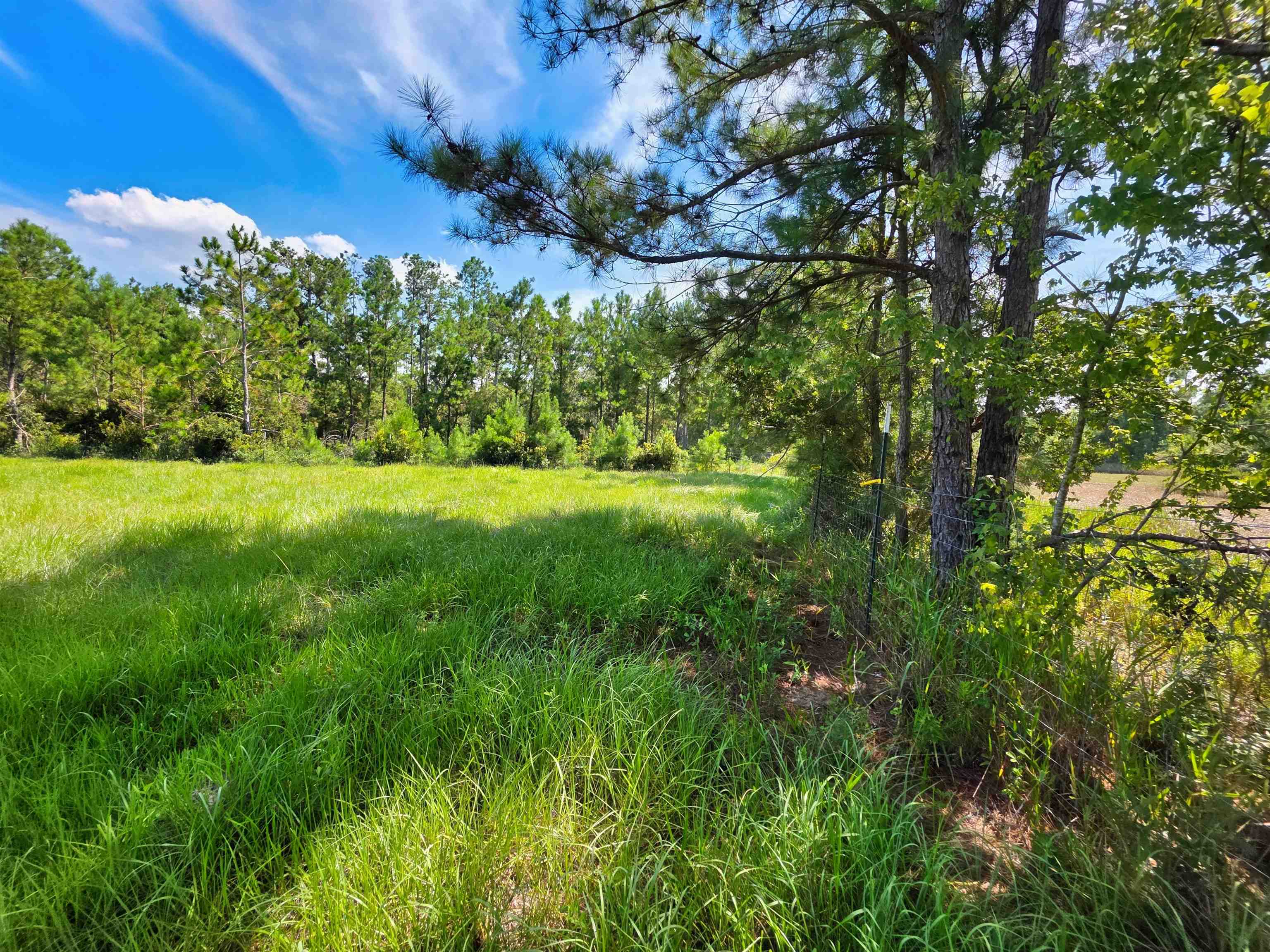 183 Jim Clark Road Madison, FL 32340 - Photo 25 of 31