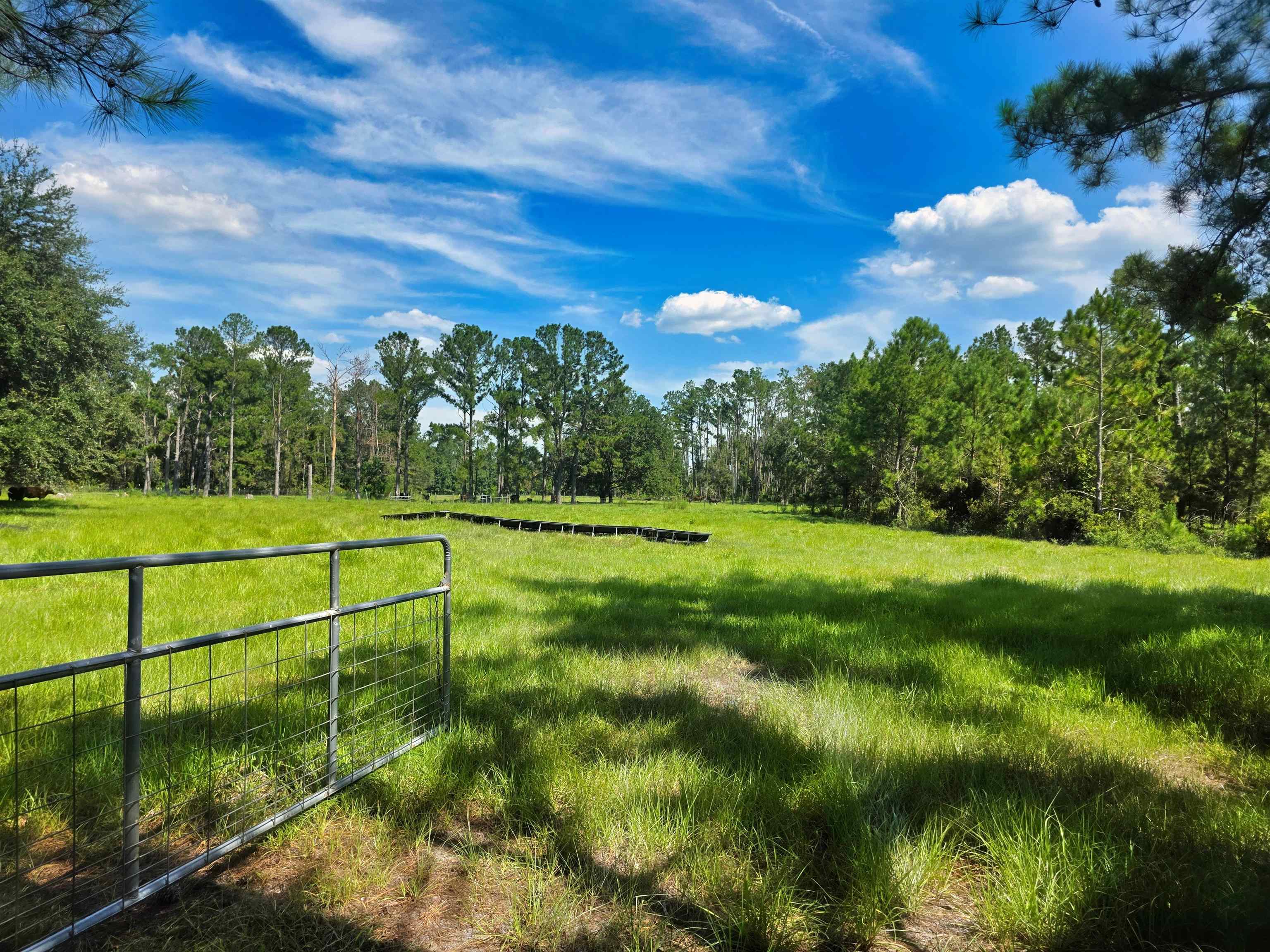 183 Jim Clark Road Madison, FL 32340 - Photo 27 of 31