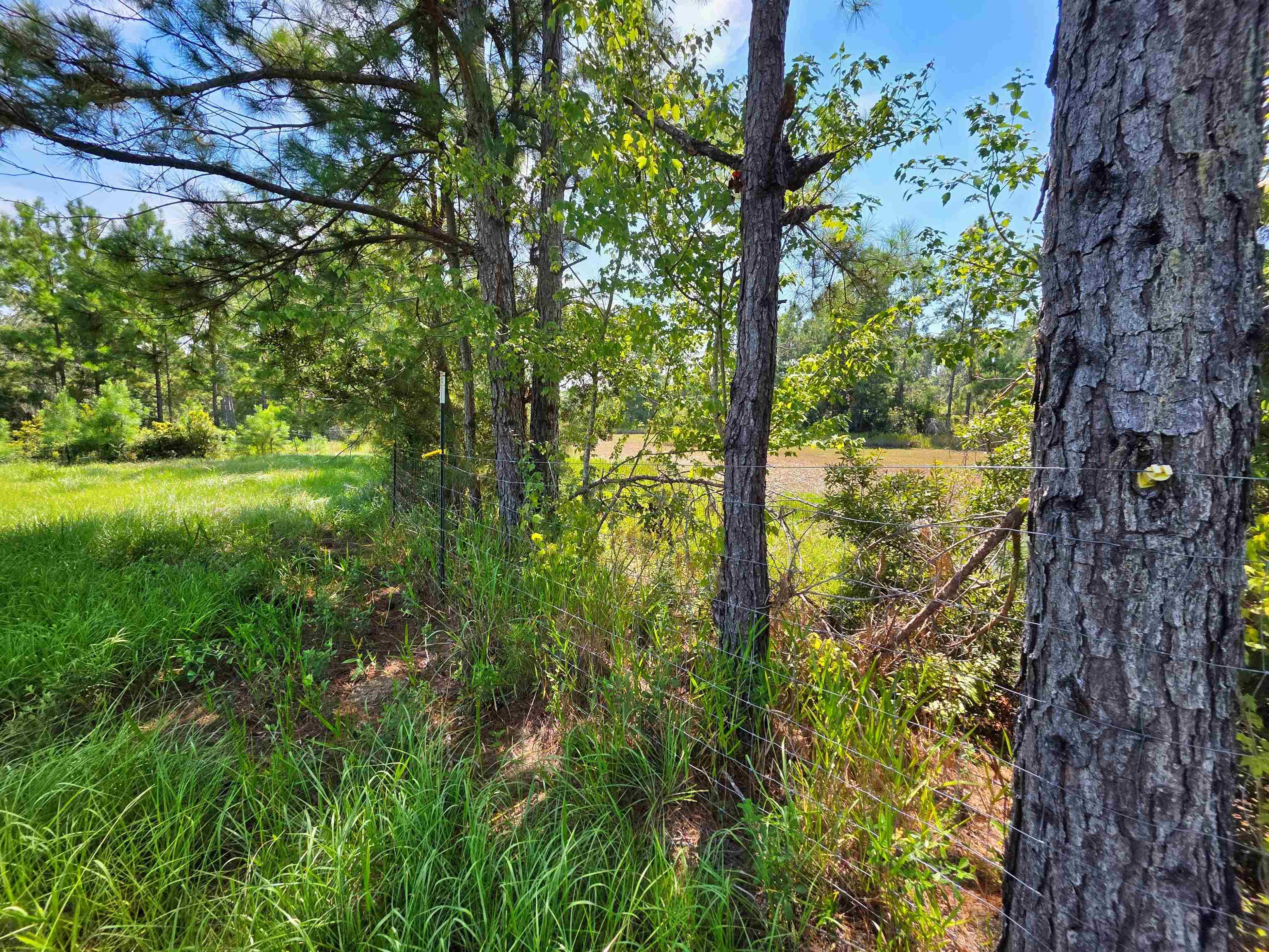 183 Jim Clark Road Madison, FL 32340 - Photo 28 of 31