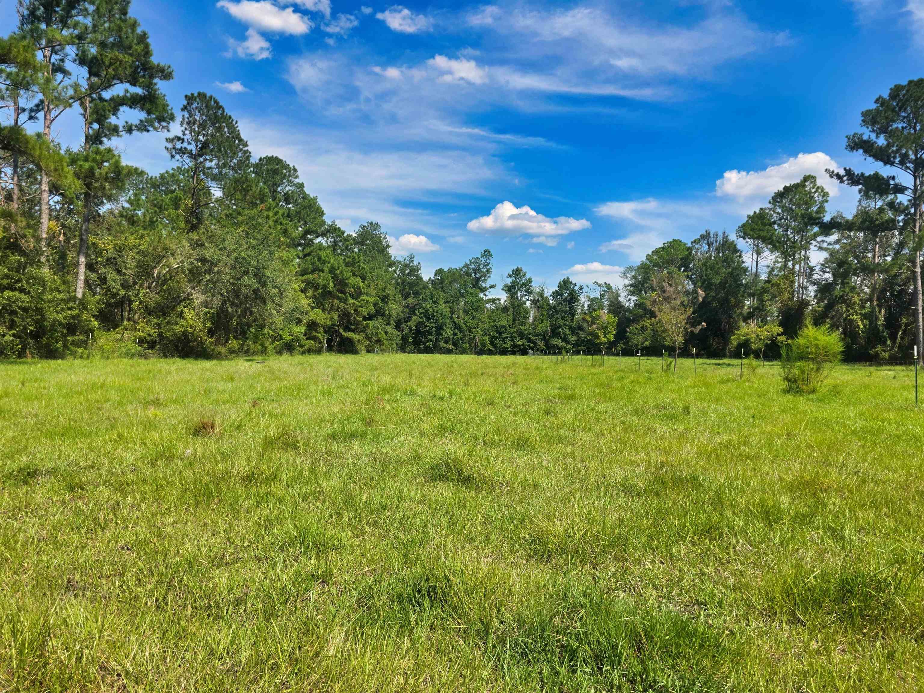 183 Jim Clark Road Madison, FL 32340 - Photo 29 of 31