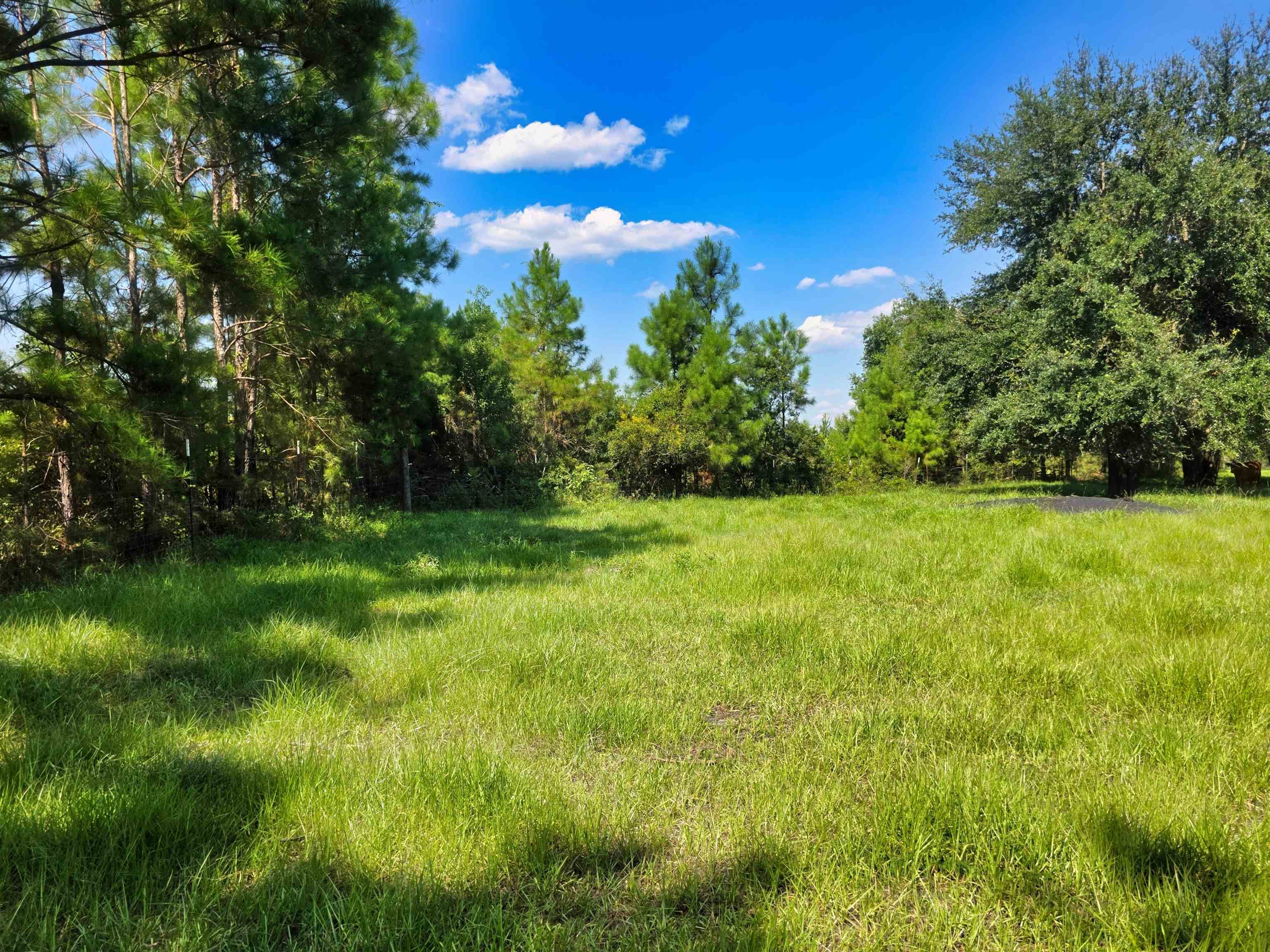 183 Jim Clark Road Madison, FL 32340 - Photo 4 of 31