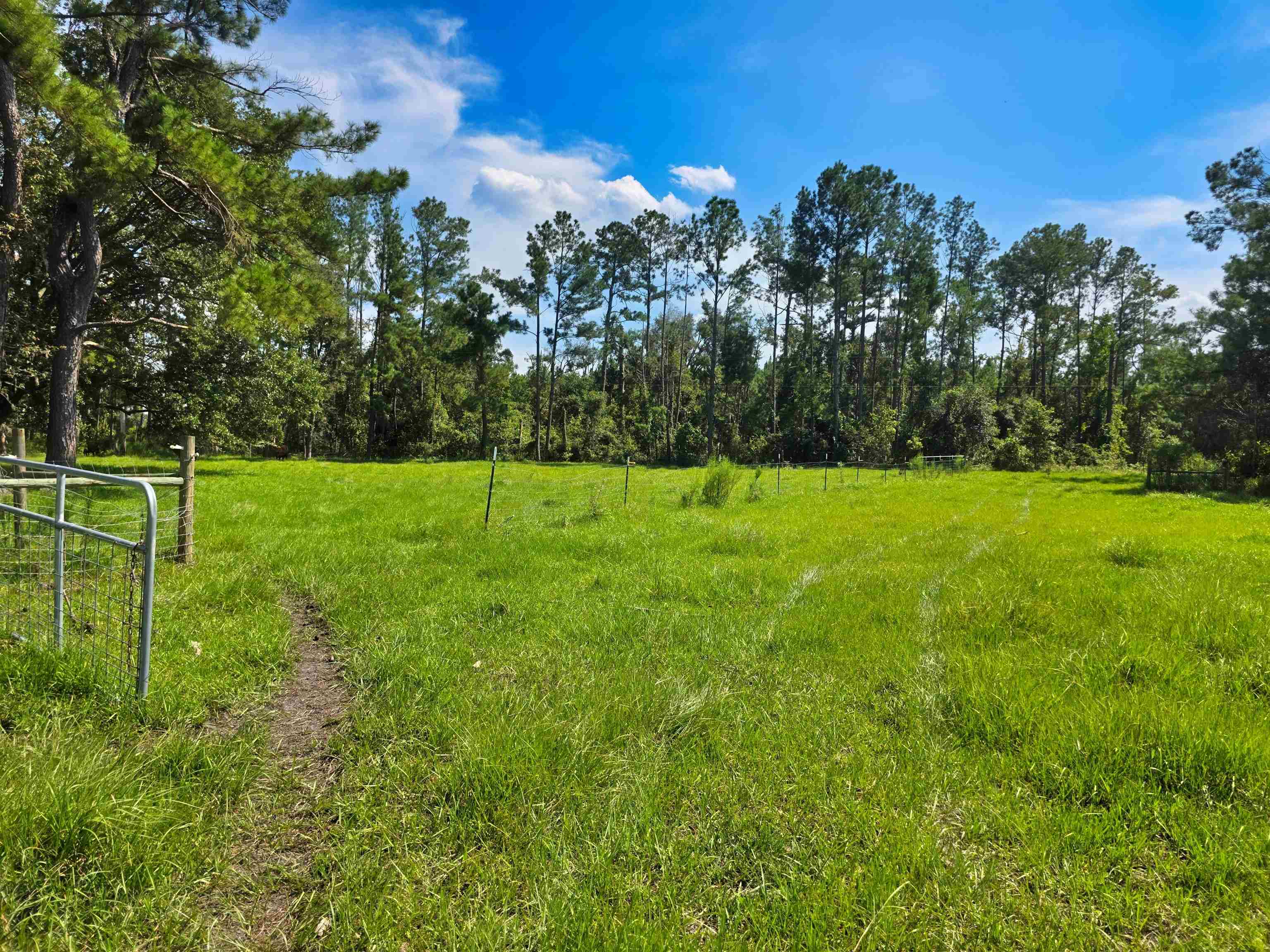 183 Jim Clark Road Madison, FL 32340 - Photo 6 of 31