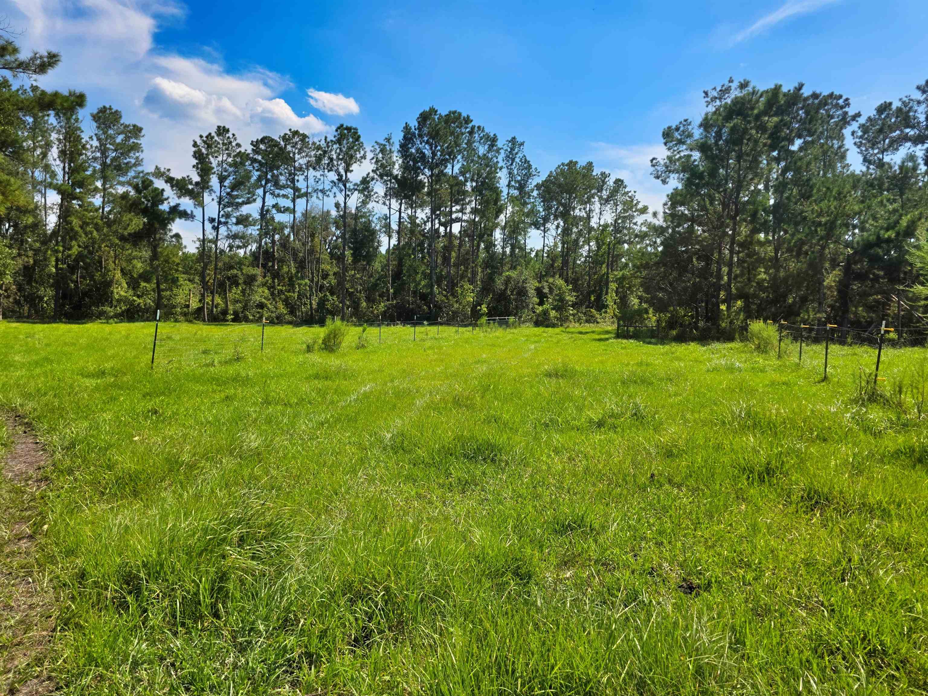 183 Jim Clark Road Madison, FL 32340 - Photo 9 of 31