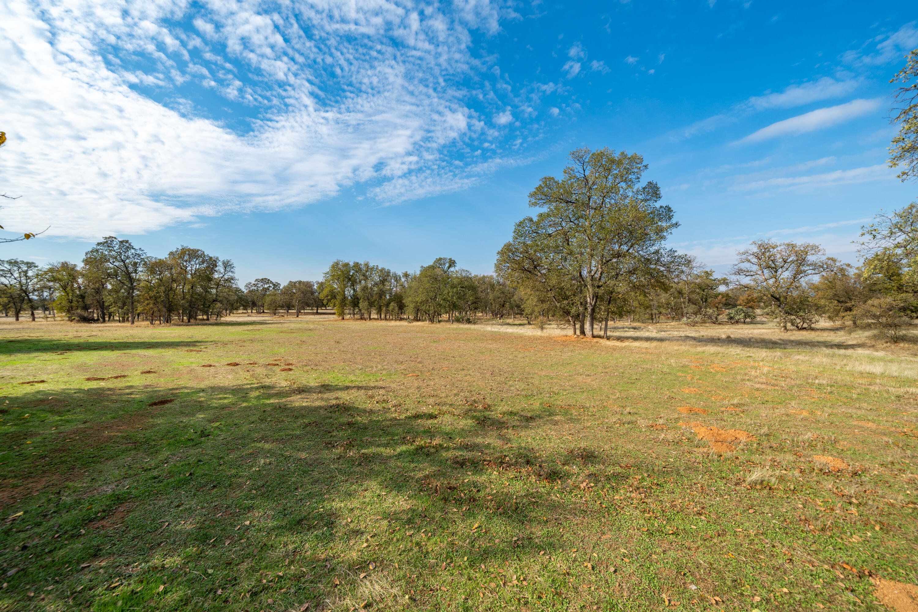 8180 Whispering Oaks Road Redding, CA 96002 - Photo 81 of 100 LEVEL 20 ACRES