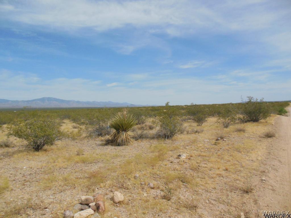 3352 South Opal Road Golden Valley, AZ 86413 - Photo 21 of 31