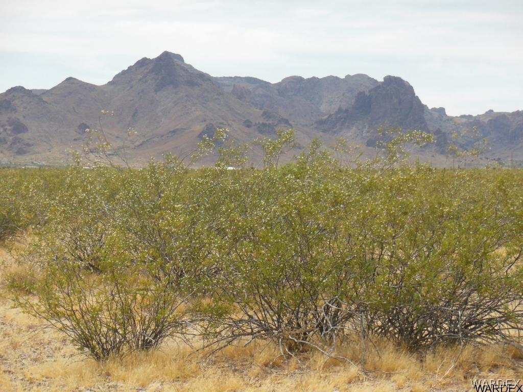 3352 South Opal Road Golden Valley, AZ 86413 - Photo 23 of 31 South parcel Lot 12