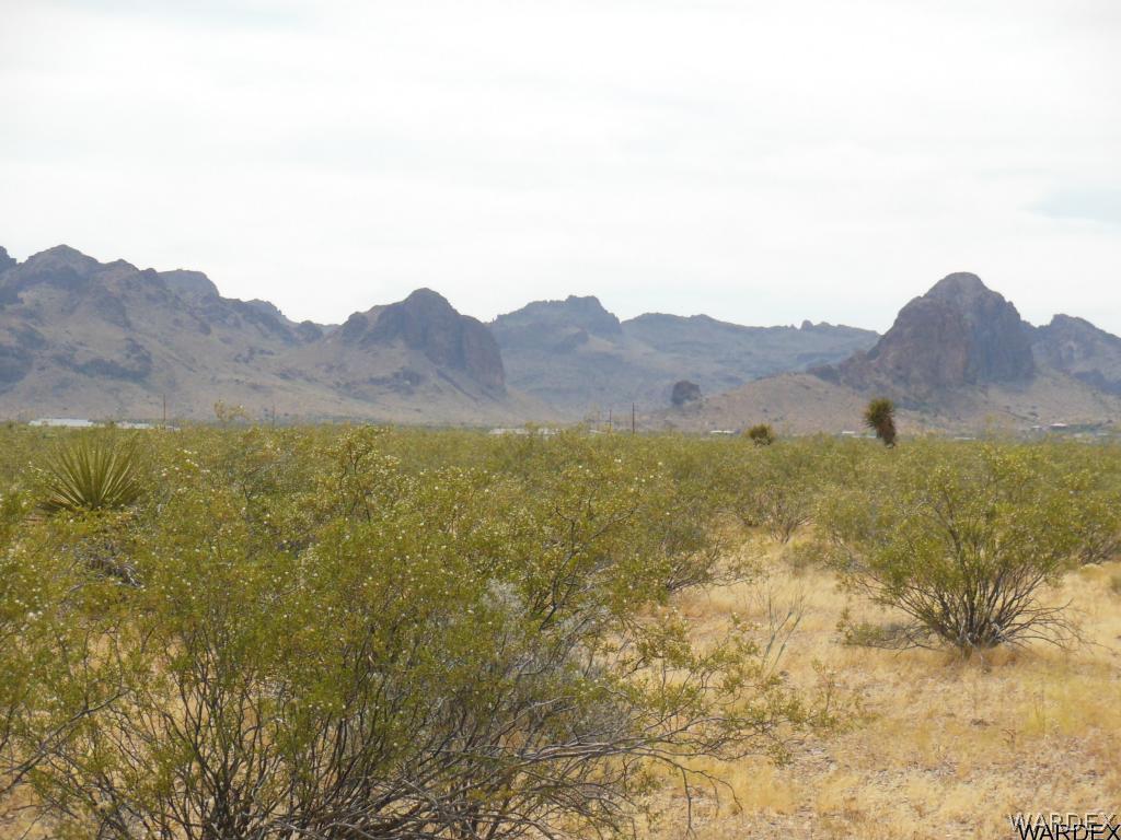 3352 South Opal Road Golden Valley, AZ 86413 - Photo 24 of 31