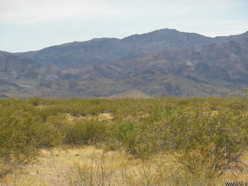 3352 South Opal Road Golden Valley, AZ 86413 - Photo 25 of 31
