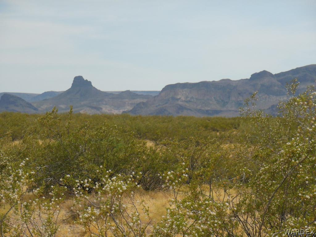 3352 South Opal Road Golden Valley, AZ 86413 - Photo 26 of 31