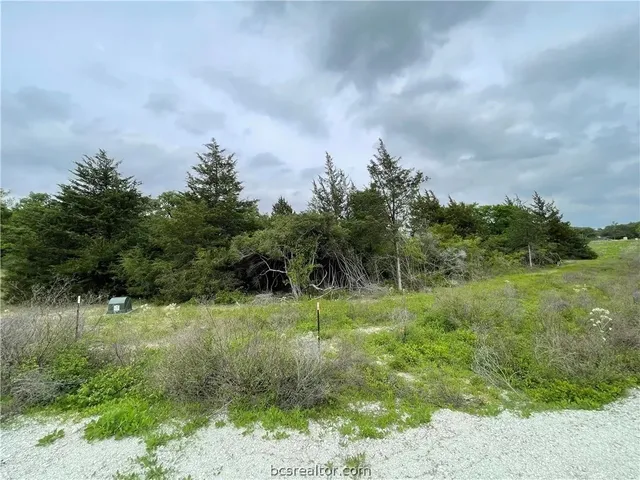a view of outdoor space with green field and trees all around