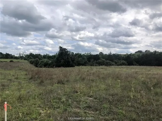 a view of a field of grass and trees