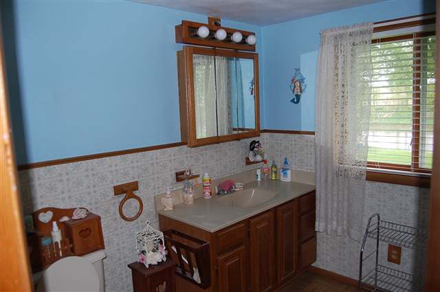 5763 West Richland Road Freeport, IL 61032 - Photo 9 of 9 a bathroom with a sink vanity and a mirror