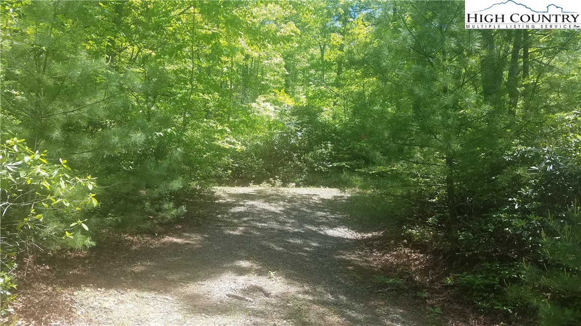 Tba Tba Sampson Road Lenoir, NC 28645 - Photo 1 of 16 Gallery Image 1