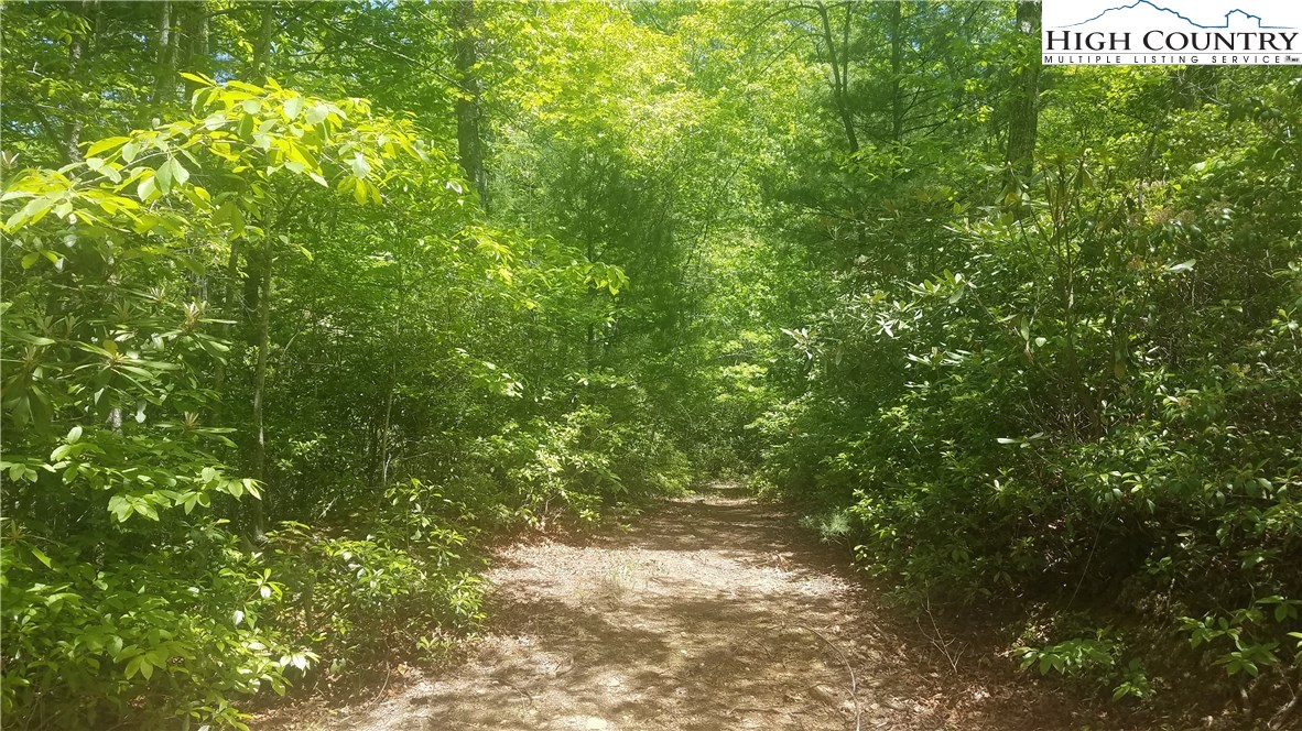 Tba Tba Sampson Road Lenoir, NC 28645 - Photo 12 of 16 Gallery Image 12