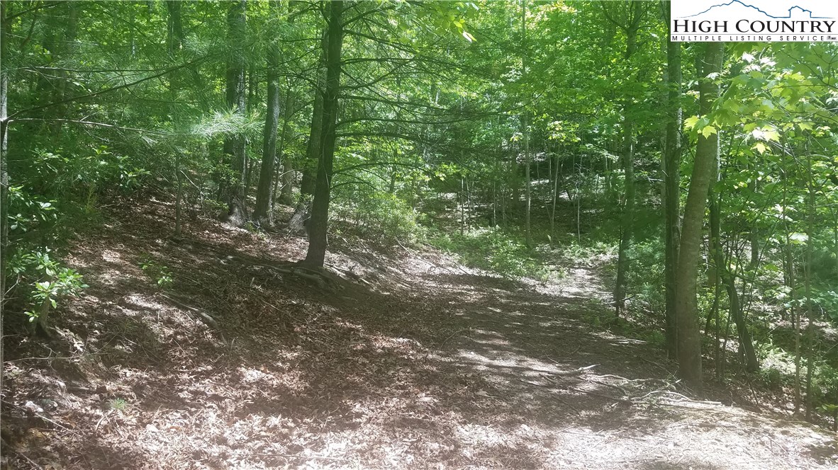 Tba Tba Sampson Road Lenoir, NC 28645 - Photo 13 of 16 Gallery Image 13