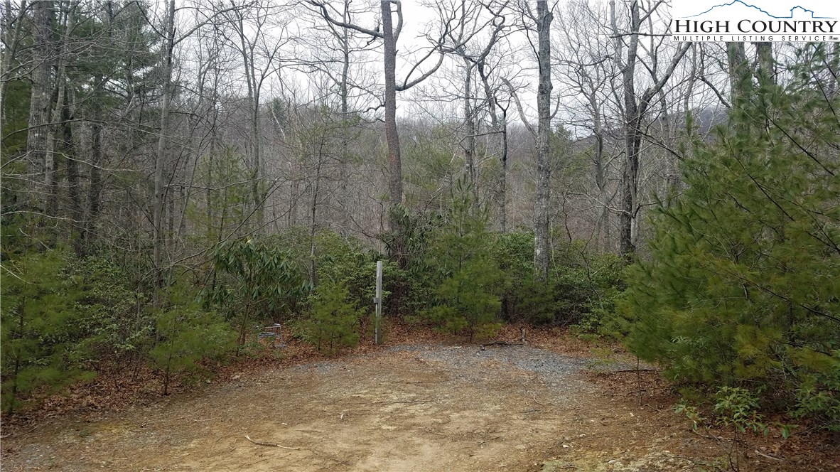 Tba Tba Sampson Road Lenoir, NC 28645 - Photo 2 of 16 Gallery Image 2