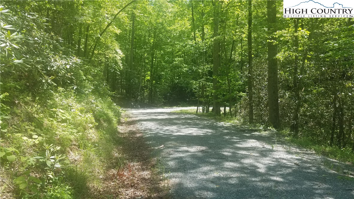 Tba Tba Sampson Road Lenoir, NC 28645 - Photo 3 of 16 Gallery Image 3