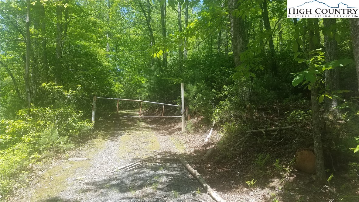 Tba Tba Sampson Road Lenoir, NC 28645 - Photo 6 of 16 Gallery Image 6