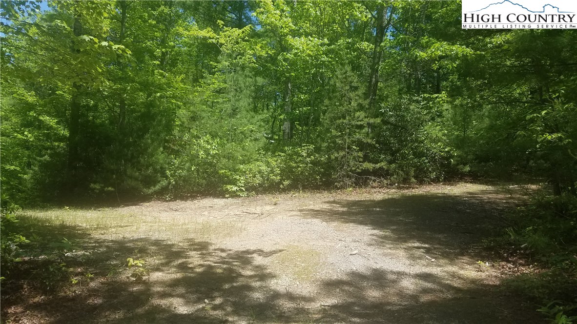 Tba Tba Sampson Road Lenoir, NC 28645 - Photo 8 of 16 Gallery Image 8