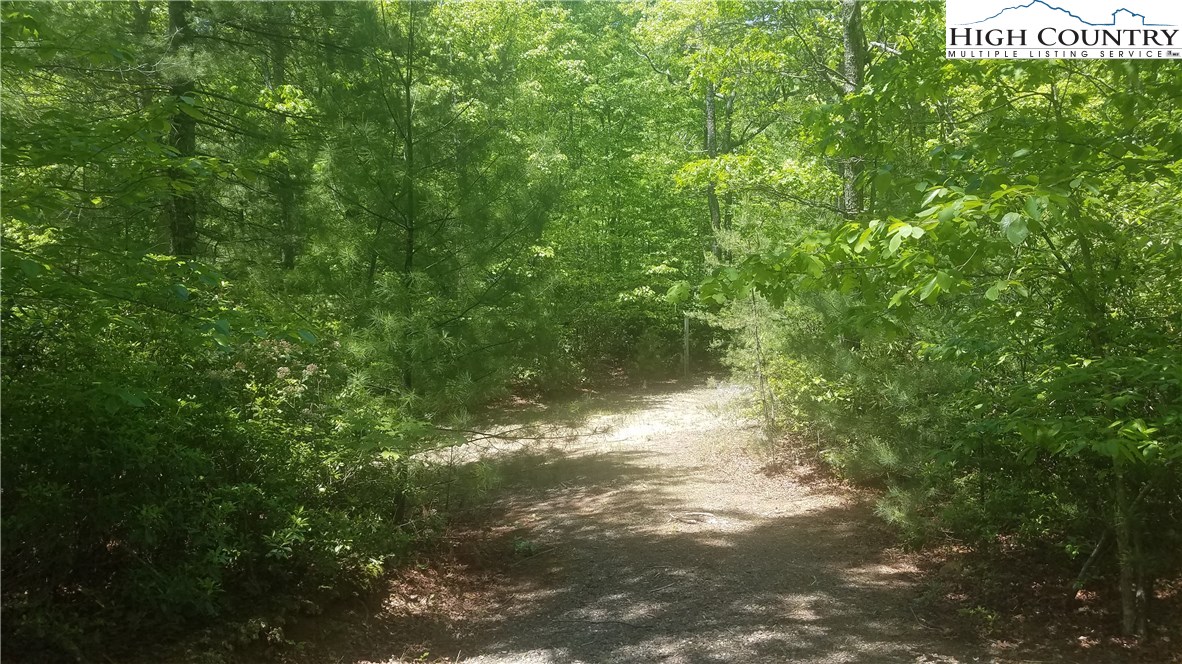 Tba Tba Sampson Road Lenoir, NC 28645 - Photo 10 of 16 Gallery Image 10