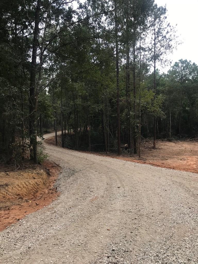 0 Tract Road Carriere, MS 39426 - Photo 1 of 1 Main View