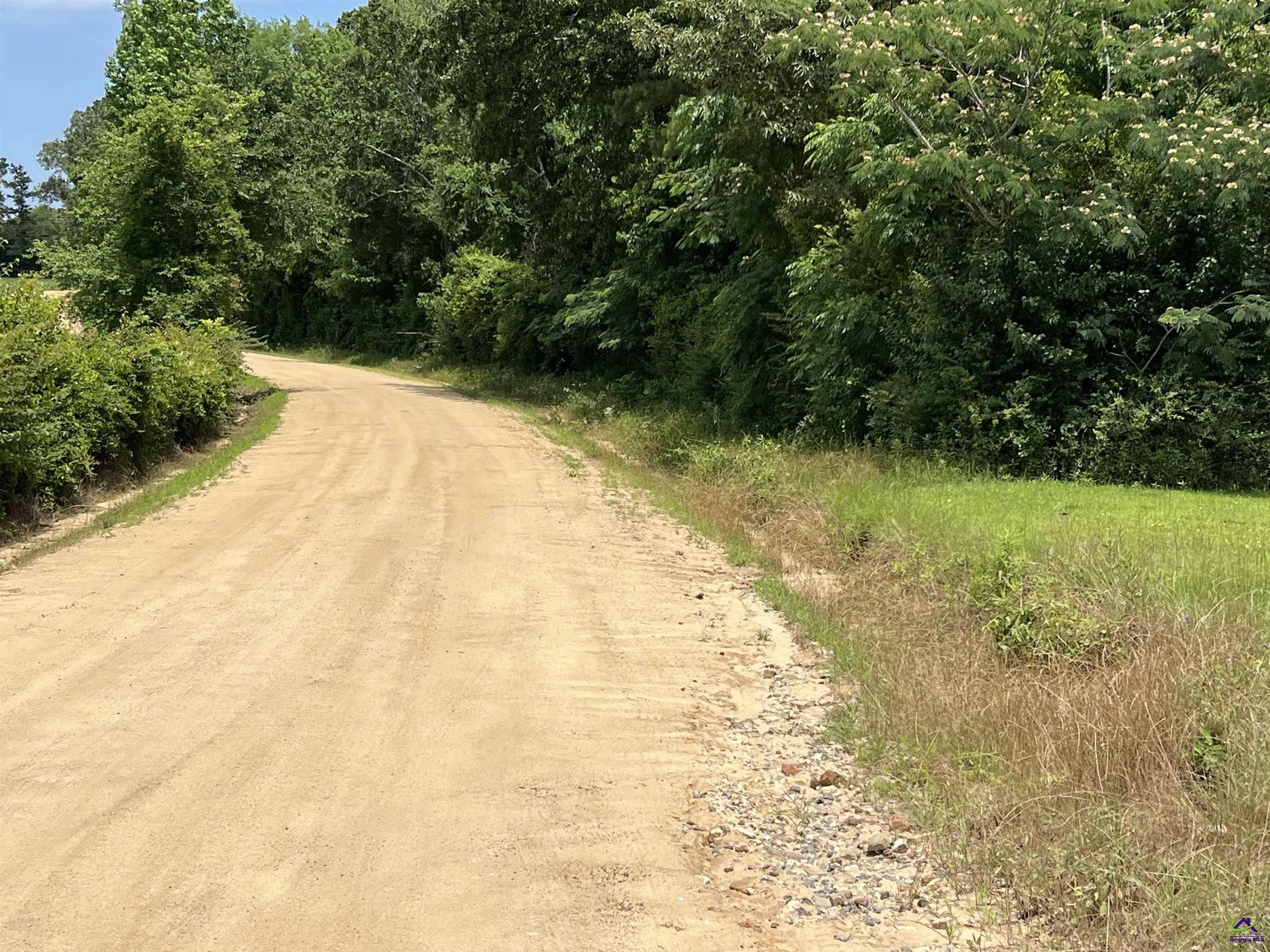 Rock Hill Road Cochran, GA 31014 - Photo 21 of 26 a view of yard with green space