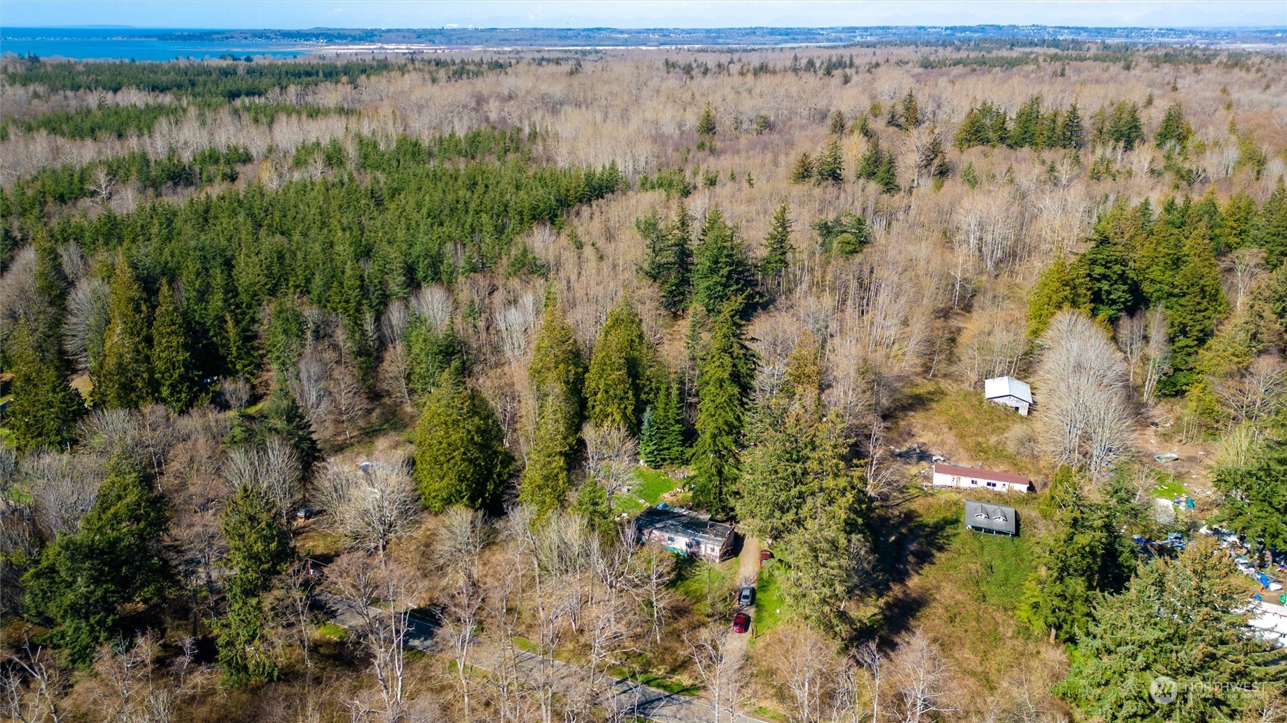 2646 Cagey Road Bellingham, WA 98226 - Photo 11 of 25 a view of a forest with a tree