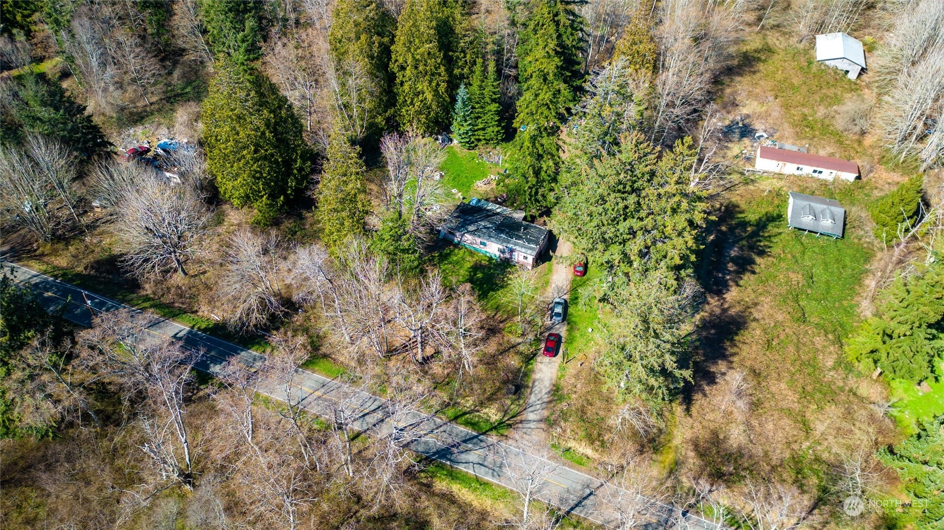 2646 Cagey Road Bellingham, WA 98226 - Photo 15 of 25 a plant view in yard