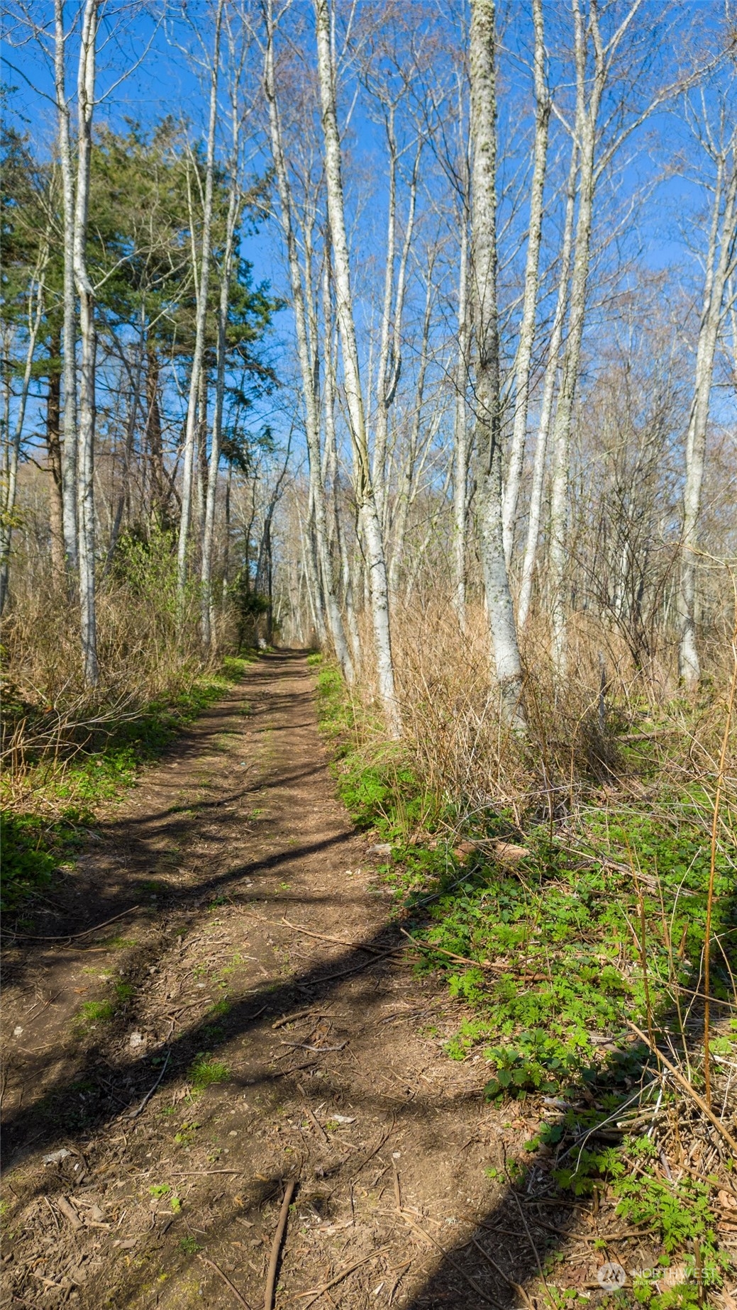 2646 Cagey Road Bellingham, WA 98226 - Photo 16 of 25 a view of backyard with wooden fence