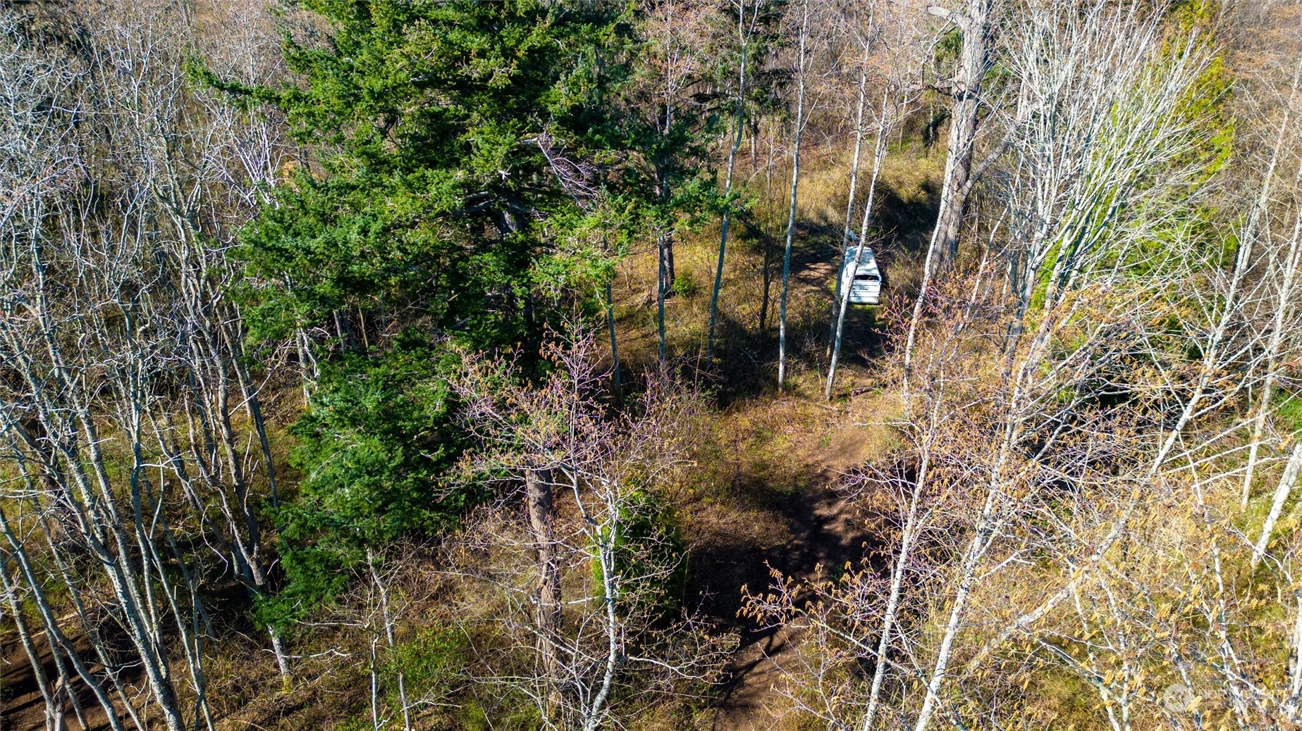 2646 Cagey Road Bellingham, WA 98226 - Photo 18 of 25 a view of outdoor seating