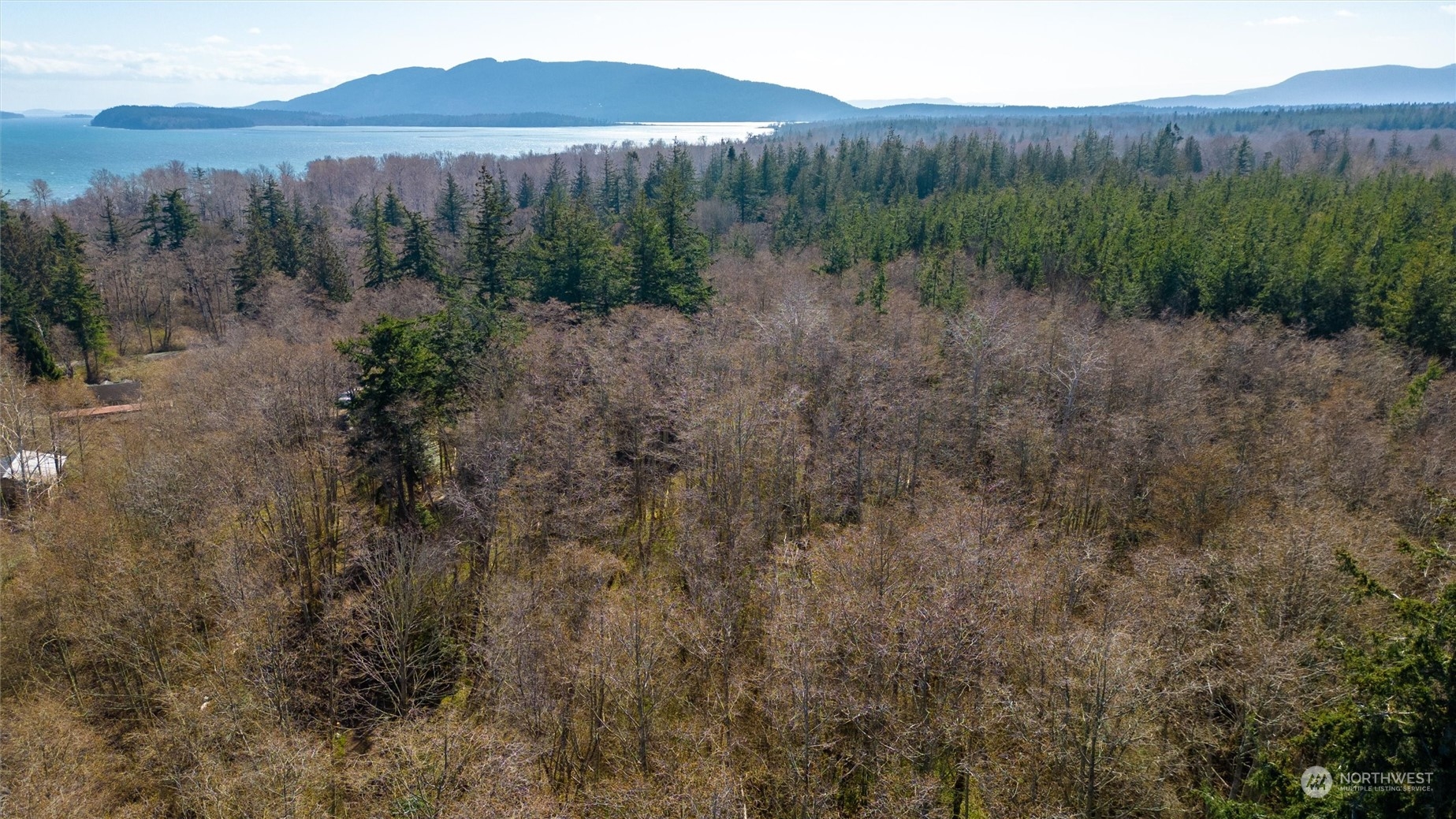 2646 Cagey Road Bellingham, WA 98226 - Photo 19 of 25 a view of a lush green forest with a house