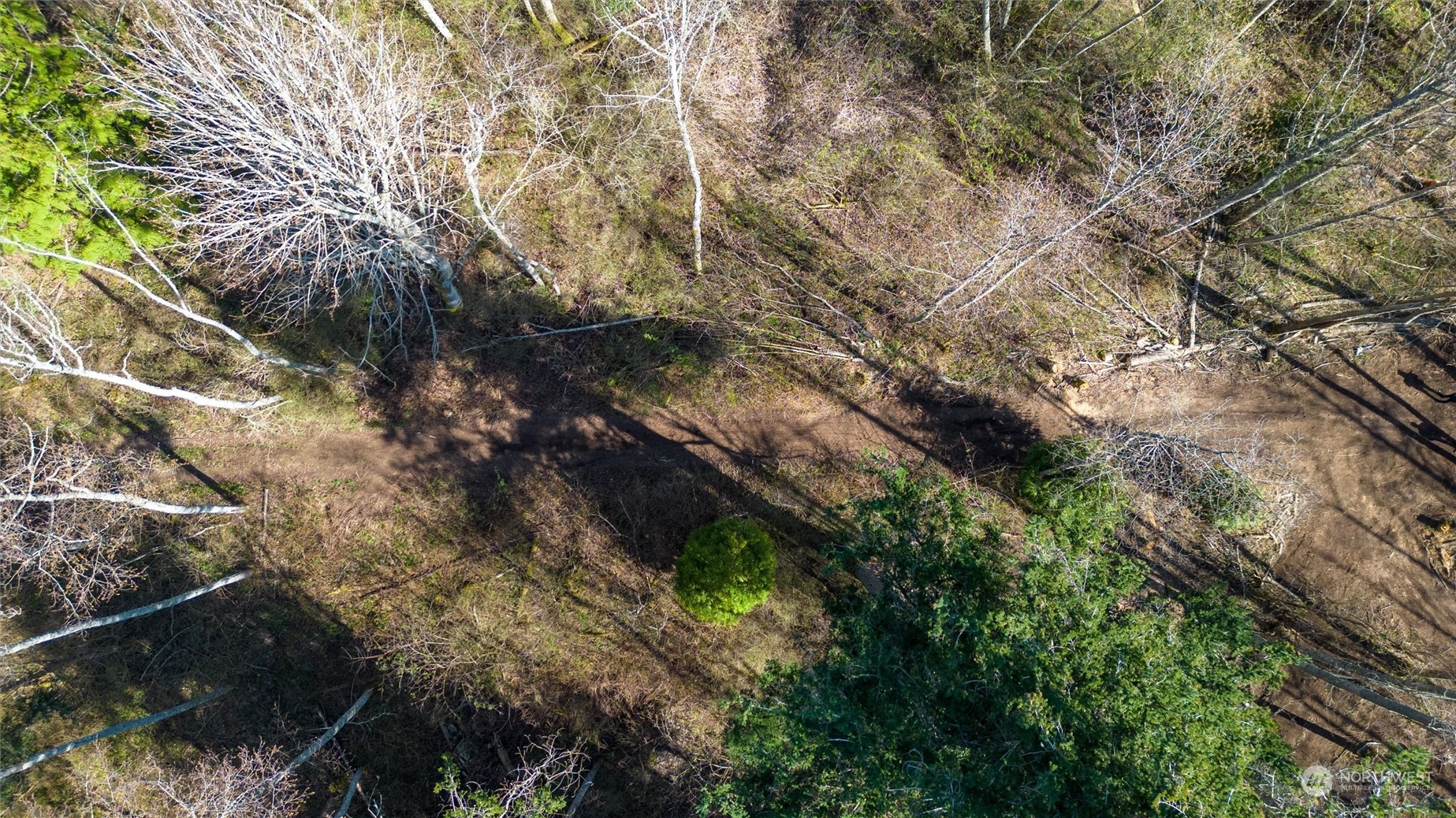 2646 Cagey Road Bellingham, WA 98226 - Photo 20 of 25 a backyard of a house