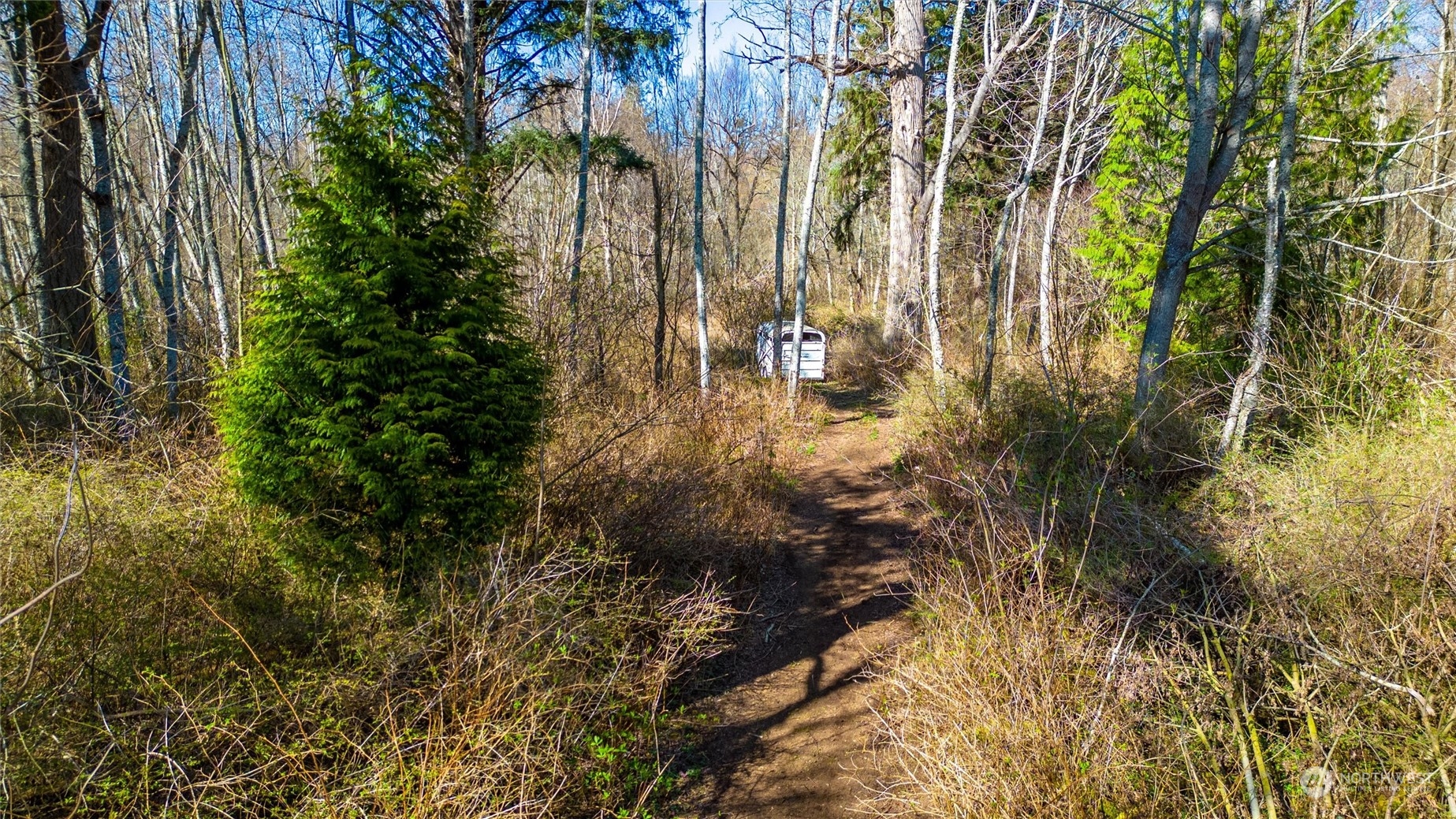 2646 Cagey Road Bellingham, WA 98226 - Photo 21 of 25