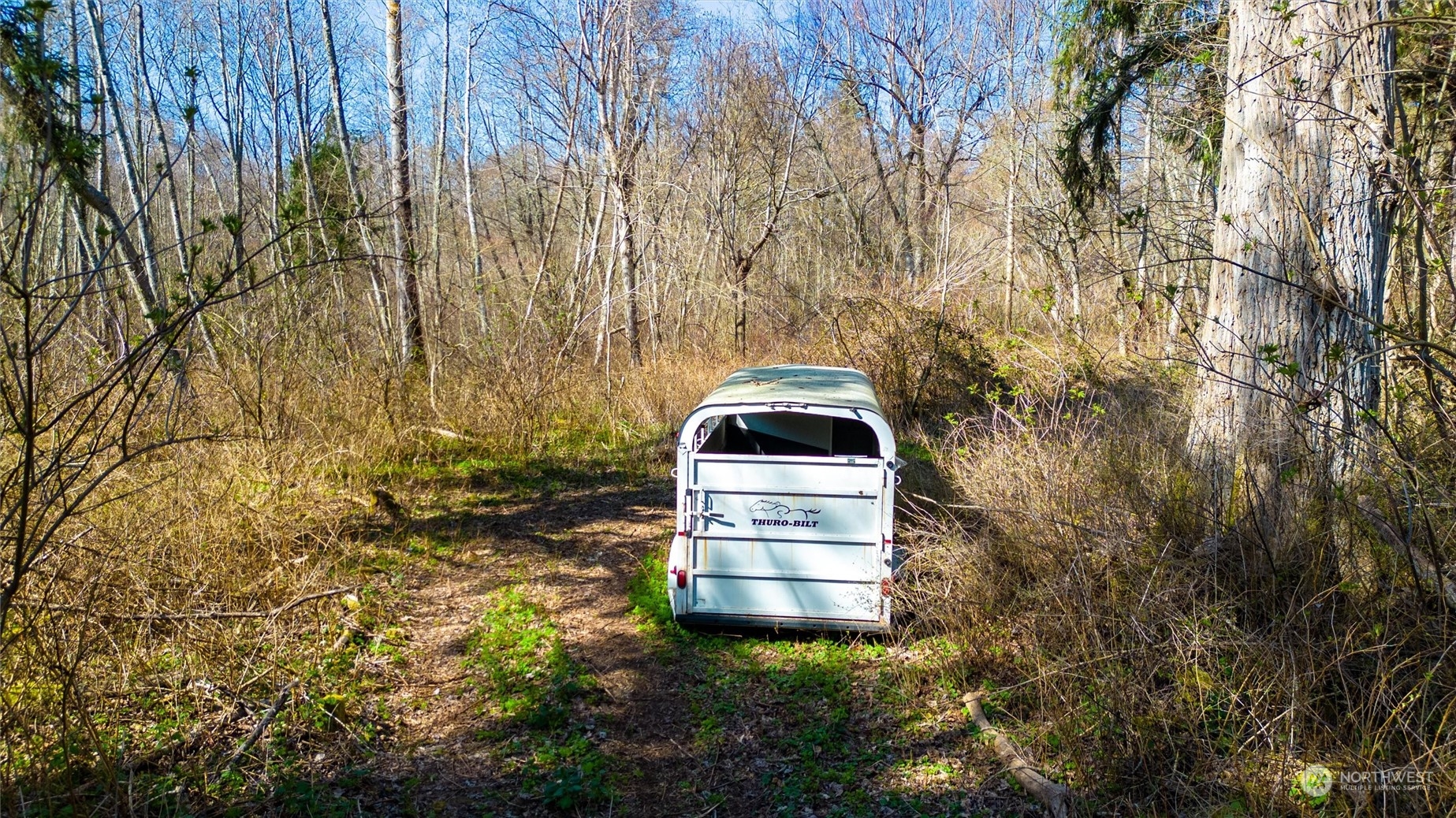 2646 Cagey Road Bellingham, WA 98226 - Photo 22 of 25 a backyard of a house with large trees and plants