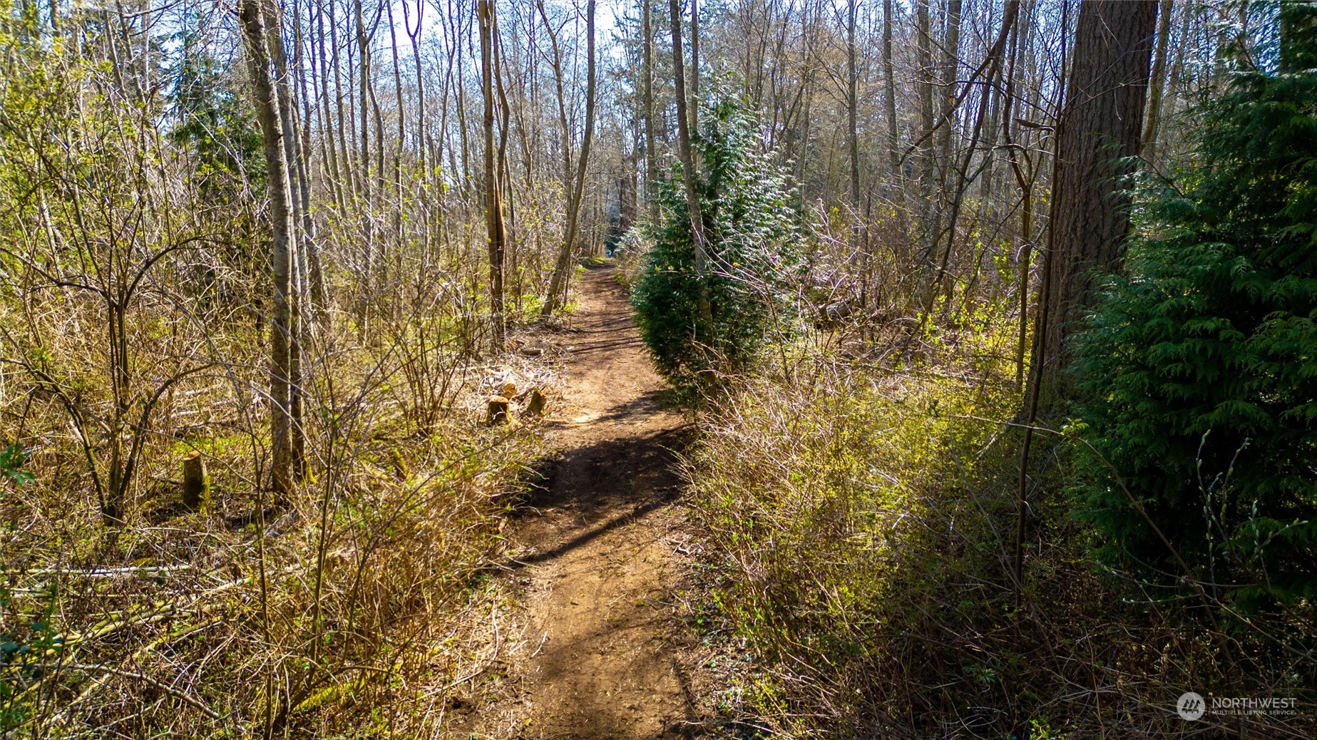 2646 Cagey Road Bellingham, WA 98226 - Photo 23 of 25 a view of backyard with green space