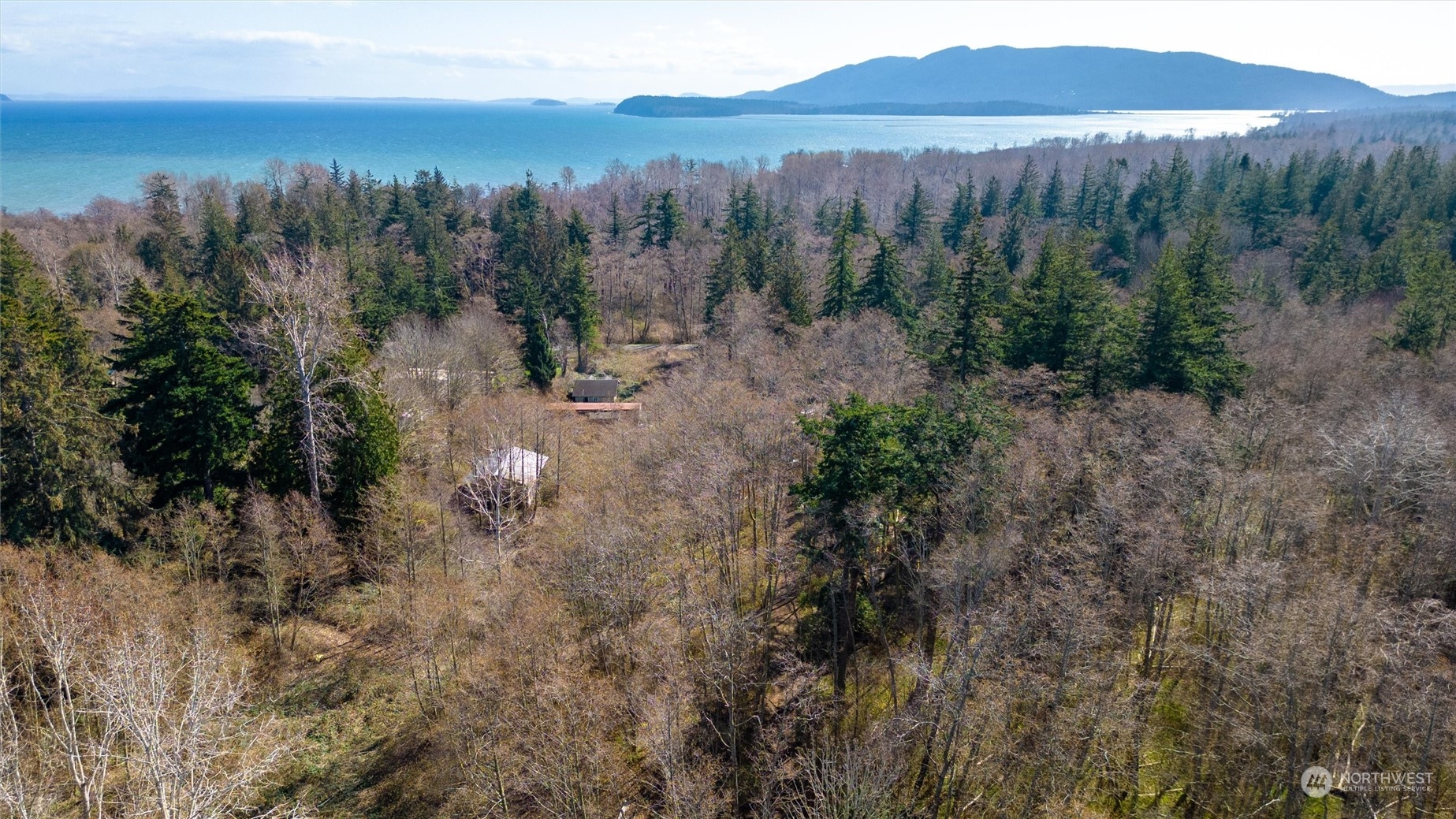 2646 Cagey Road Bellingham, WA 98226 - Photo 24 of 25 a view of a forest with a forest