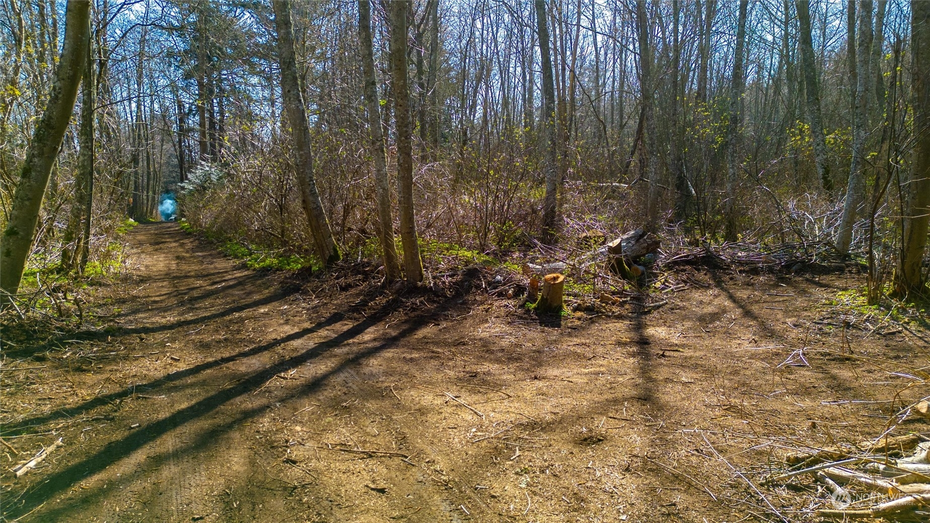 2646 Cagey Road Bellingham, WA 98226 - Photo 25 of 25 a view of a backyard with pathway