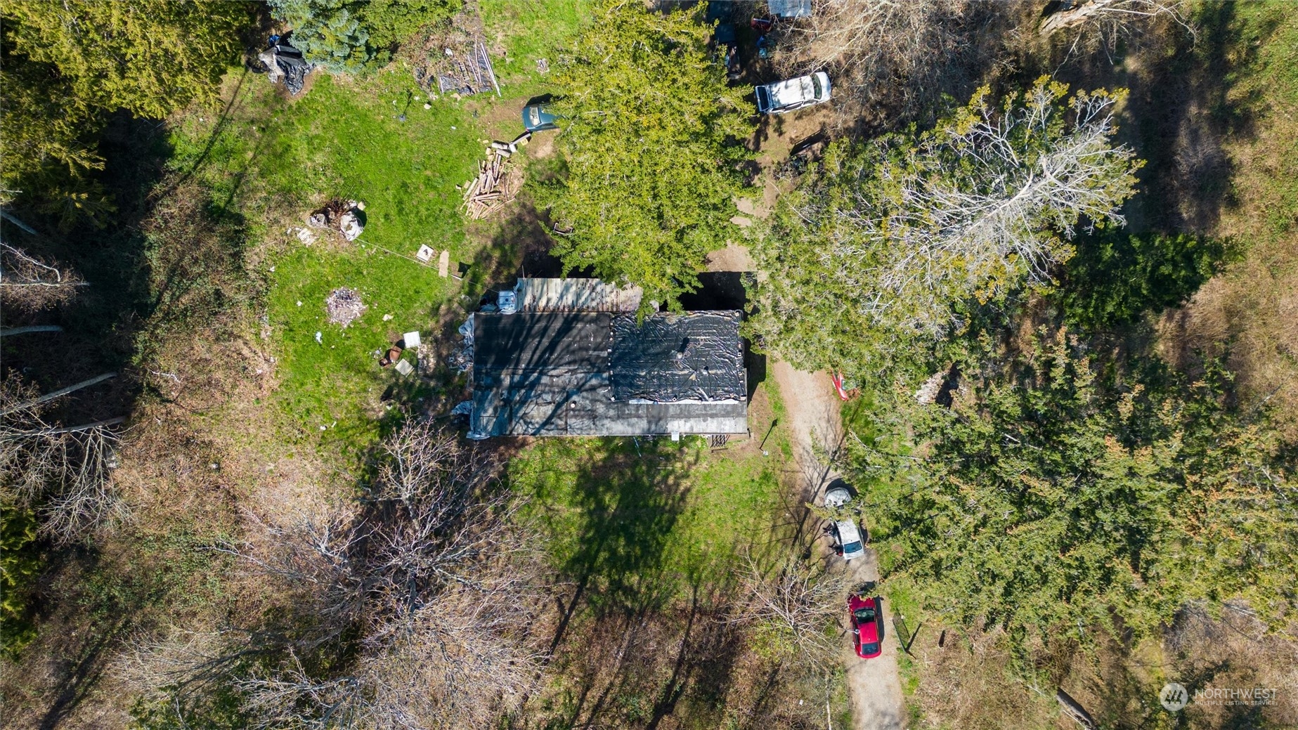 2646 Cagey Road Bellingham, WA 98226 - Photo 3 of 25 a view of a tree with a flower garden